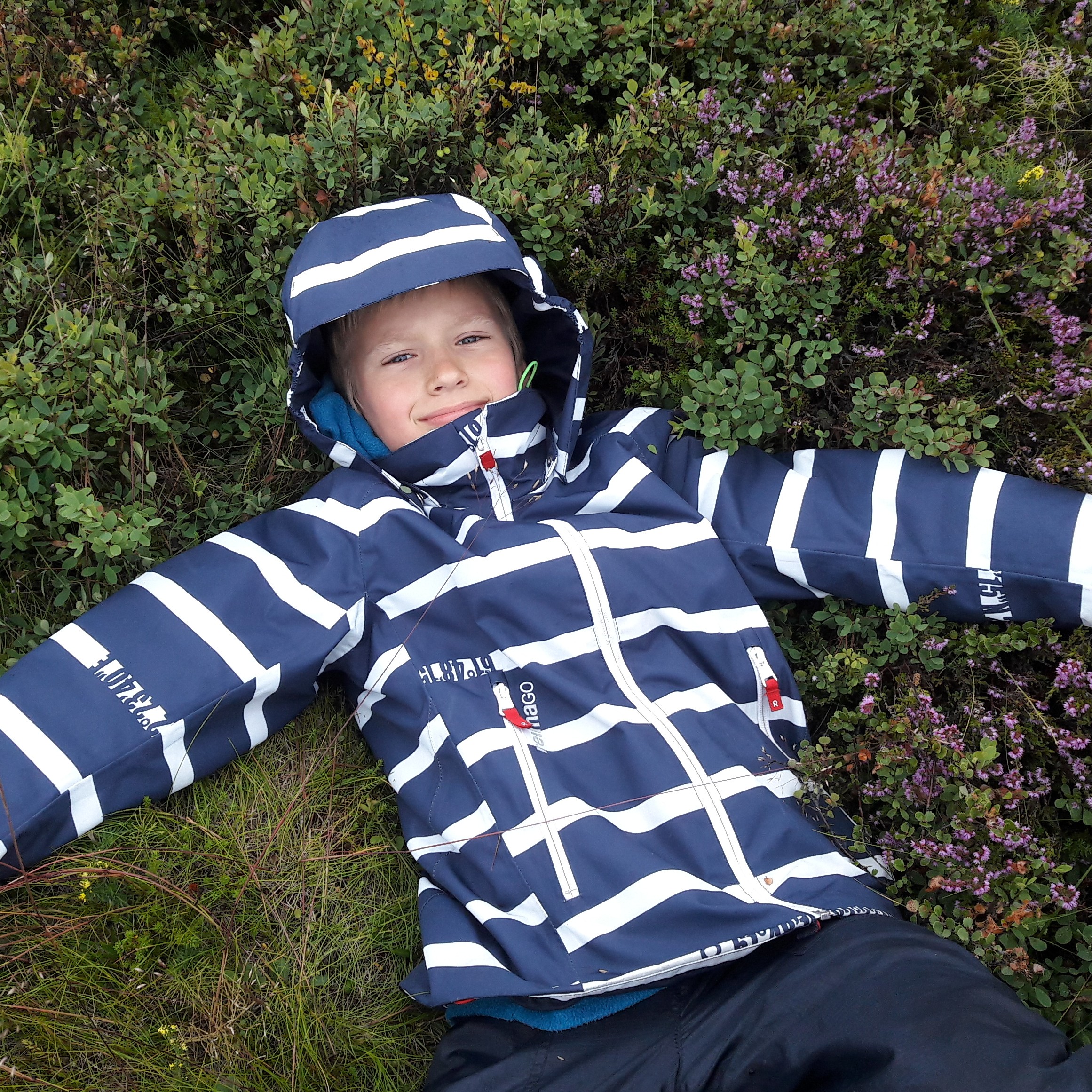 Аватар пользователя Максим Коротаев