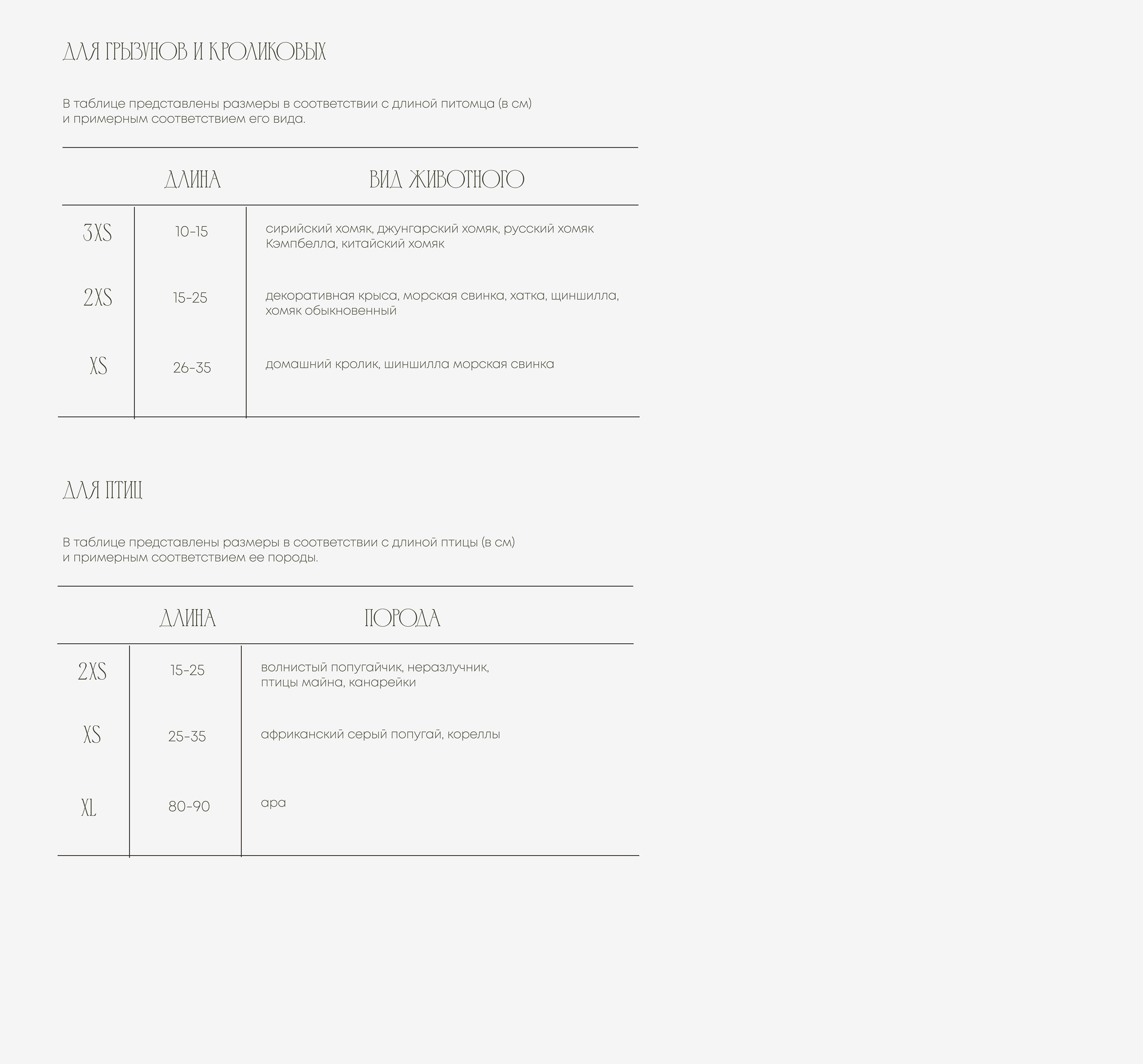 Айдентика агентства ритуальных услуг для питомцев — Изображение №5 — Интерфейсы, Брендинг на Dprofile