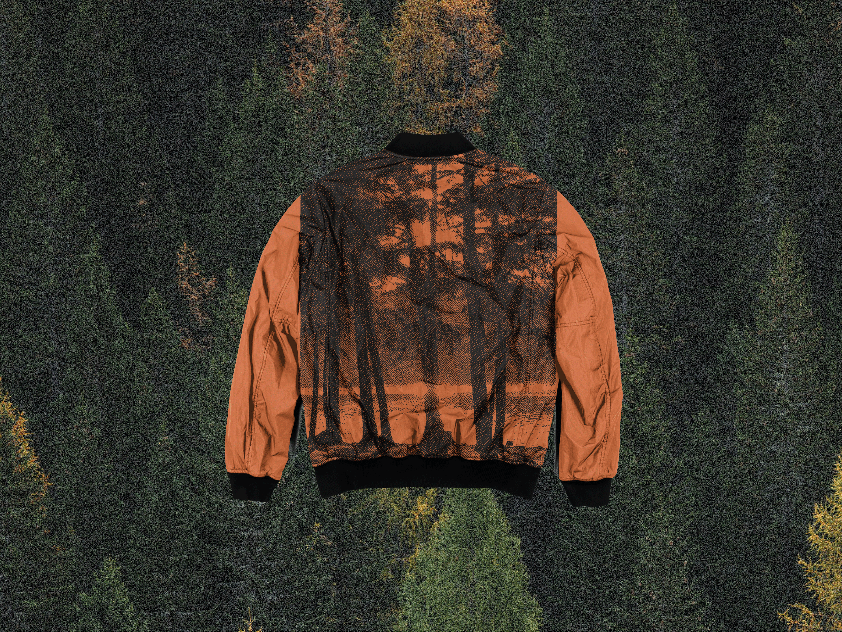 Логотип и фирменный стиль для базы отдыха АВРОРА — Изображение №8 — Брендинг на Dprofile