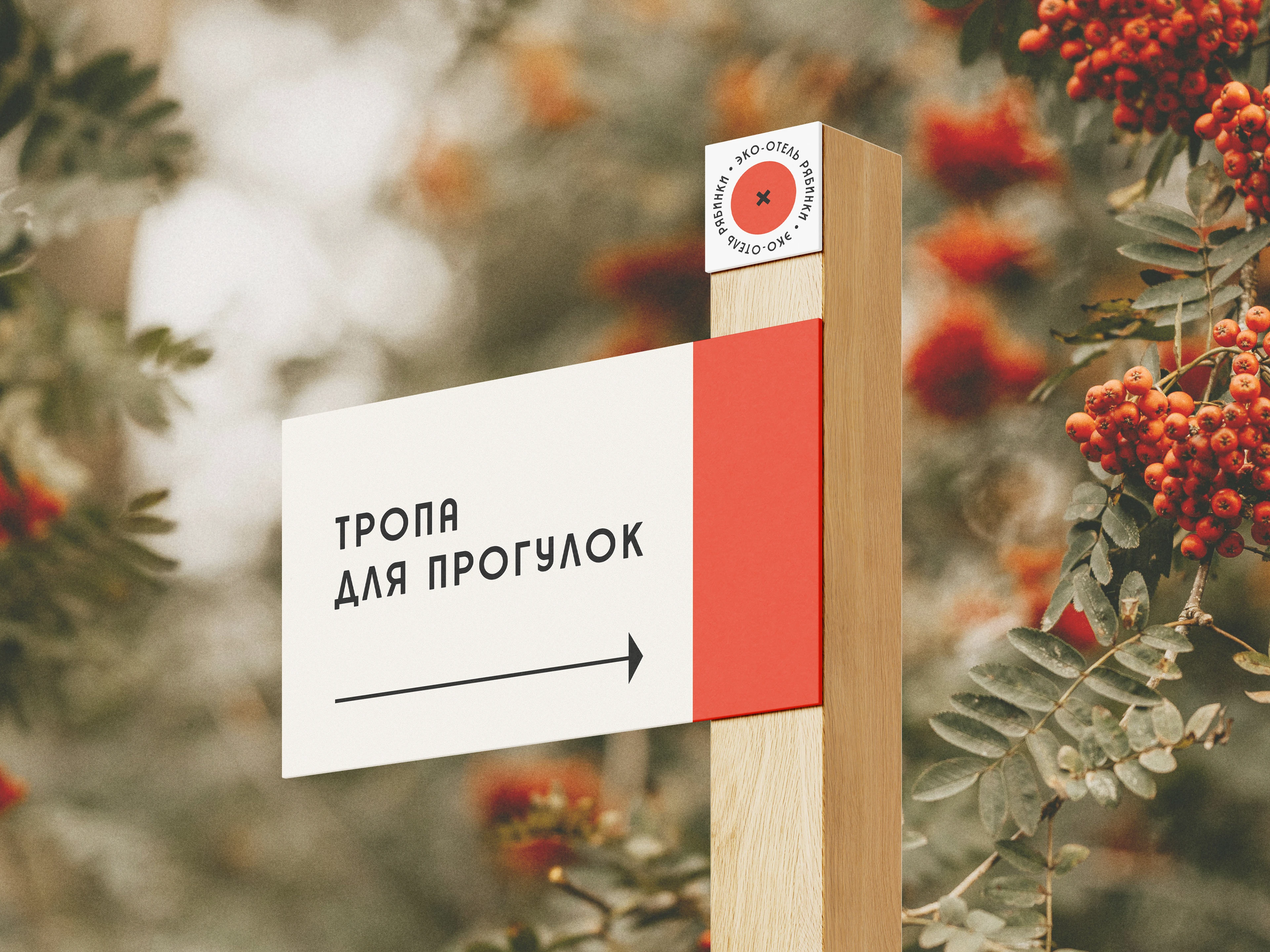 Логотип и фирменный стиль для эко-отеля (глэмпинга) — Изображение №16 — Брендинг на Dprofile