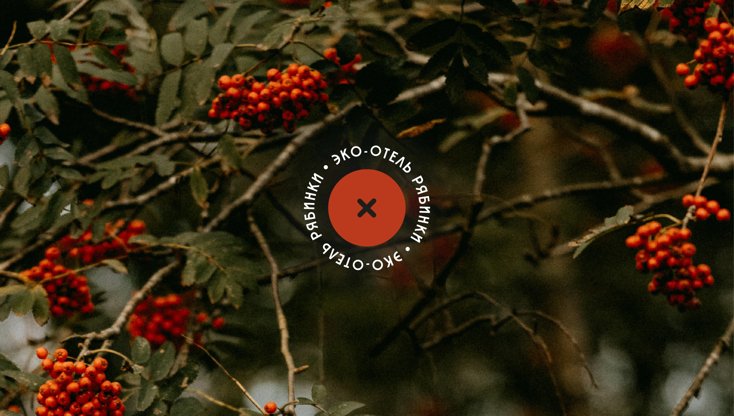 Логотип и фирменный стиль для эко-отеля (глэмпинга) — Изображение №1 — Брендинг на Dprofile