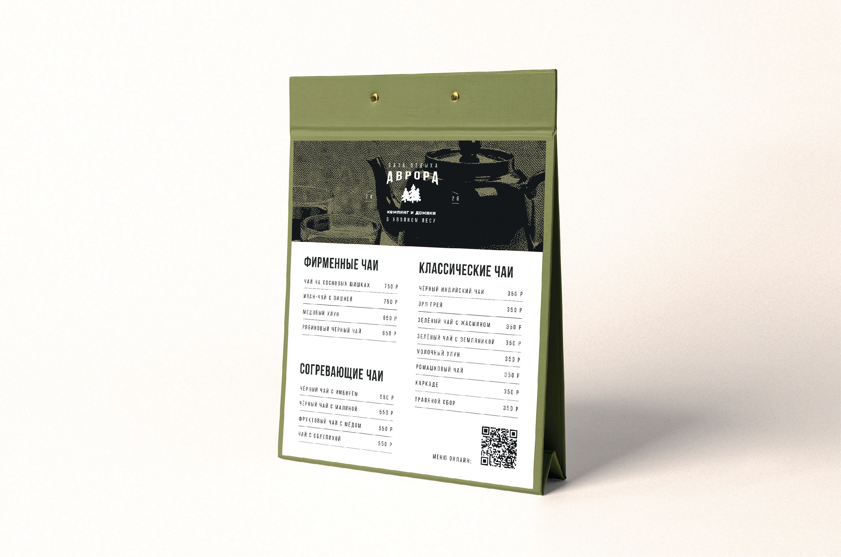 Логотип и фирменный стиль для базы отдыха АВРОРА — Изображение №13 — Брендинг на Dprofile