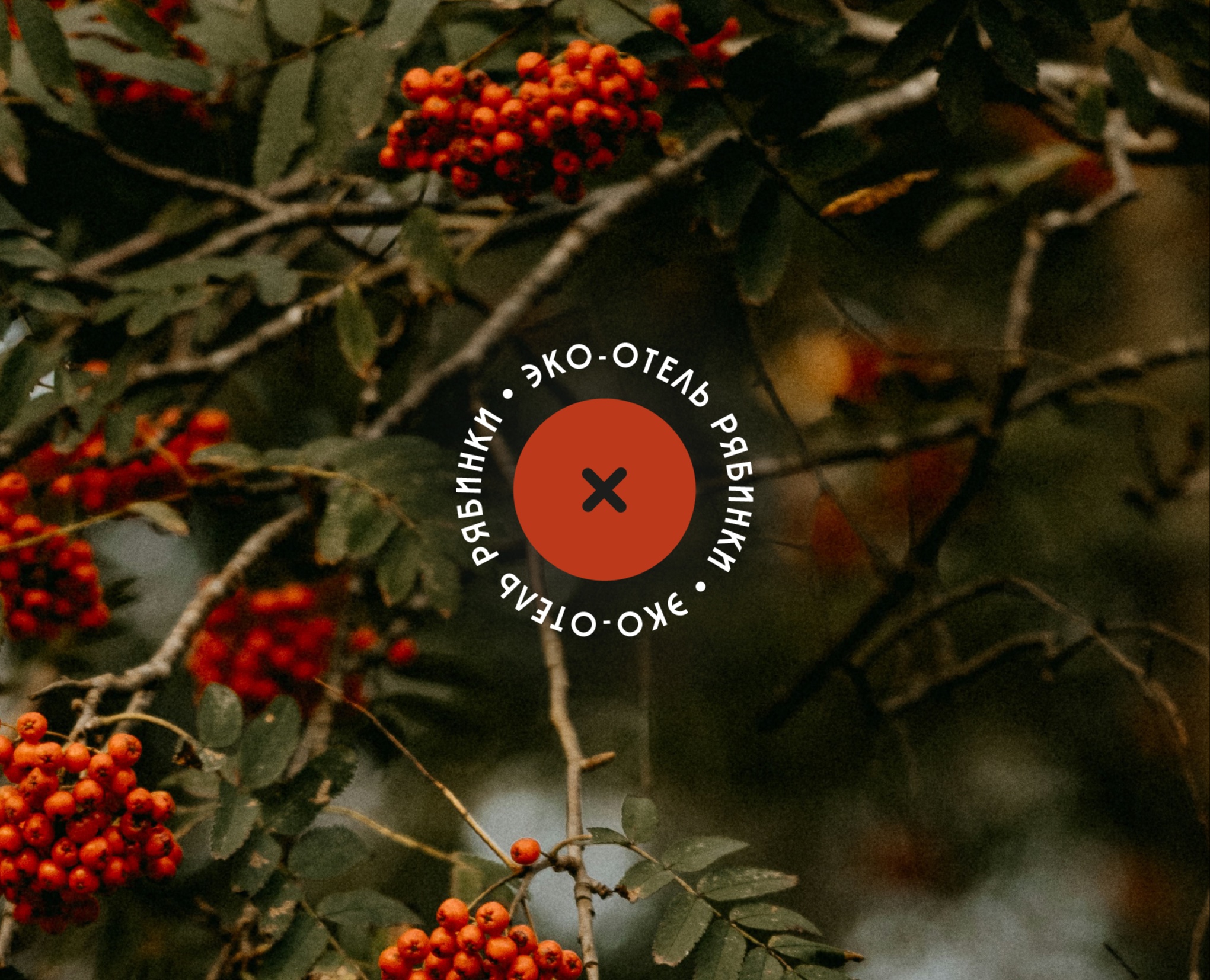 Логотип и фирменный стиль для эко-отеля (глэмпинга) на Dprofile