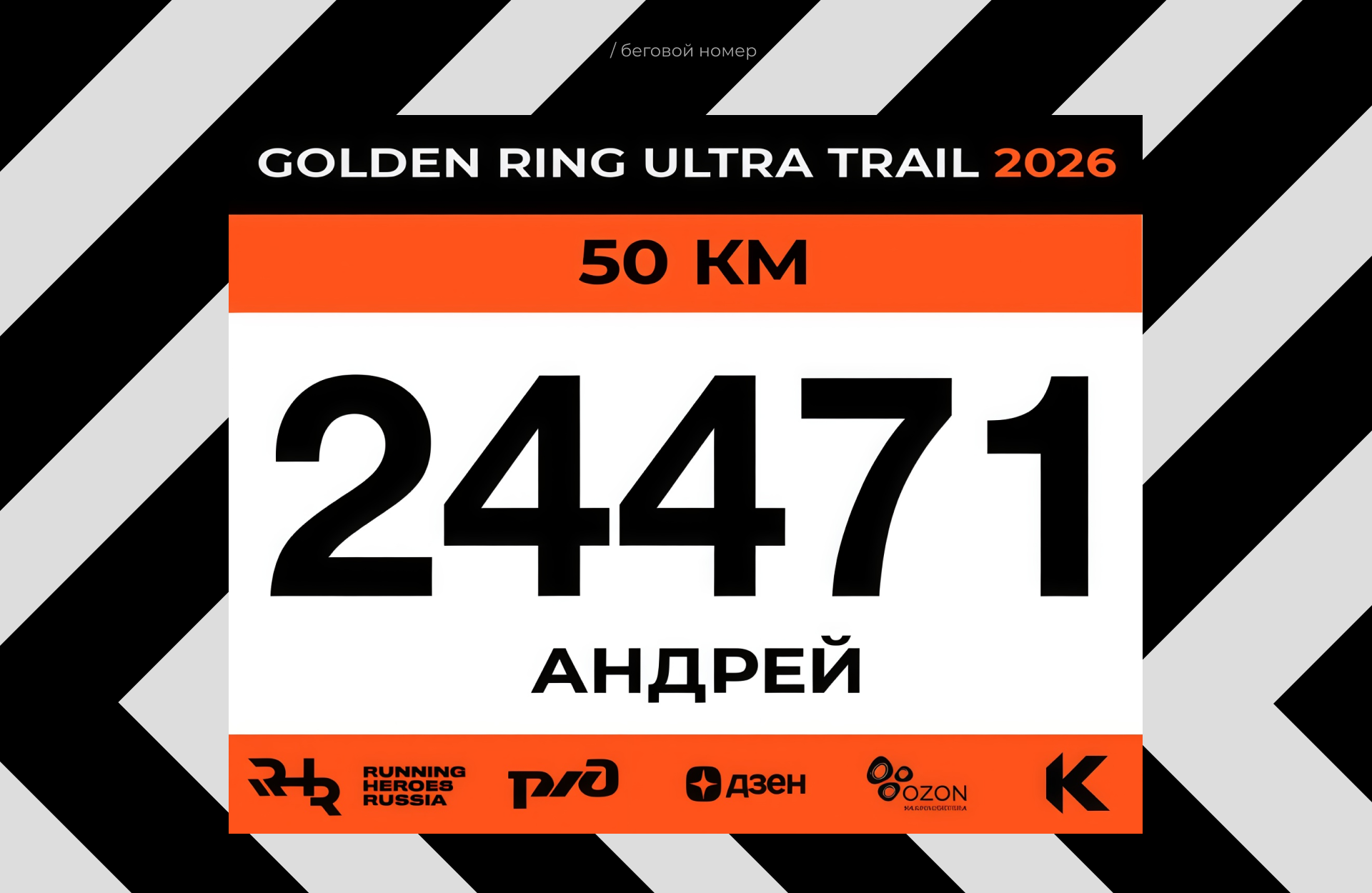 RUNNING HEROES RUSSIA — Изображение №8 — Интерфейсы, Брендинг на Dprofile