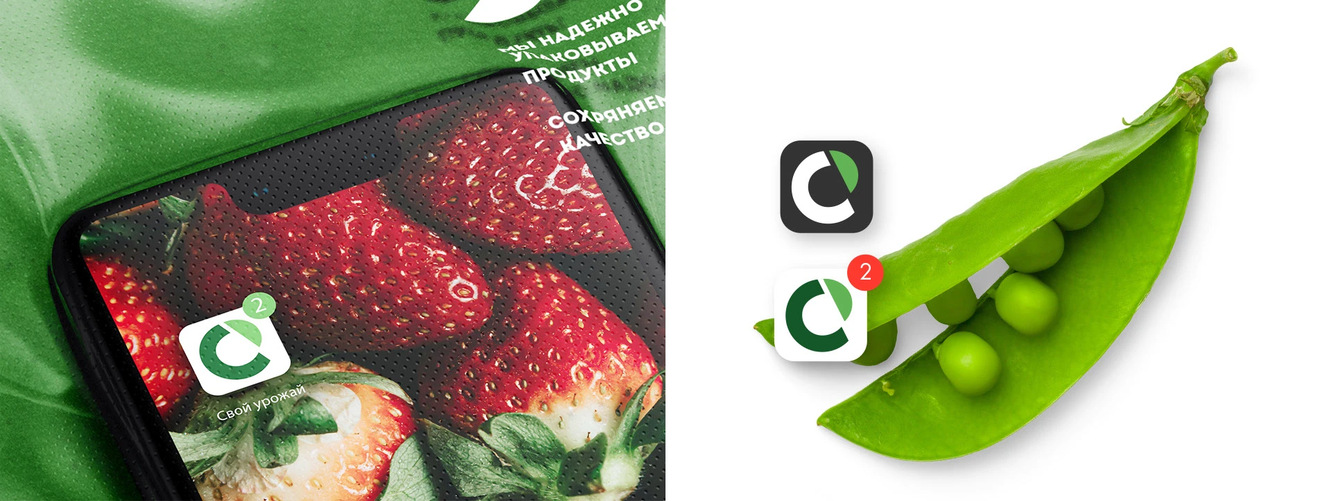 Свой Урожай | Rebranding — Изображение №11 — Брендинг на Dprofile