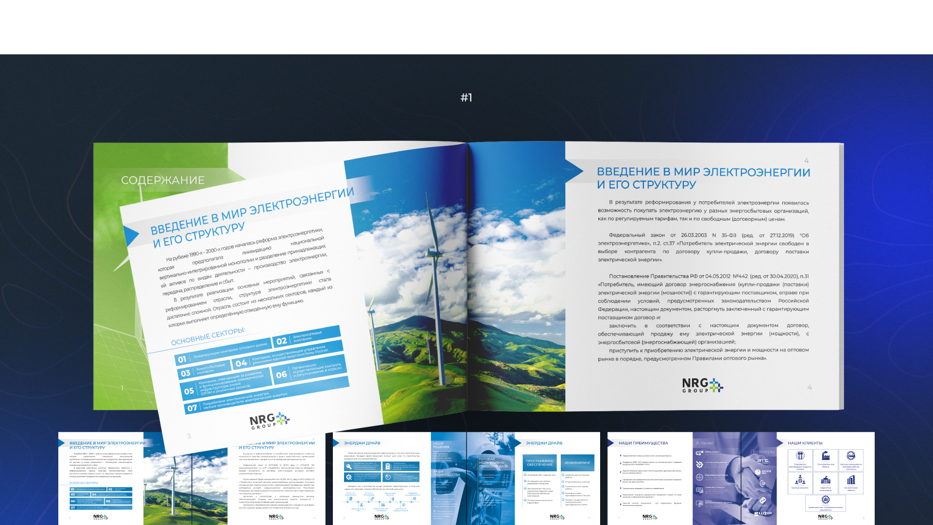 Портфолио 2025 — Изображение №3 — Брендинг, Маркетинг на Dprofile