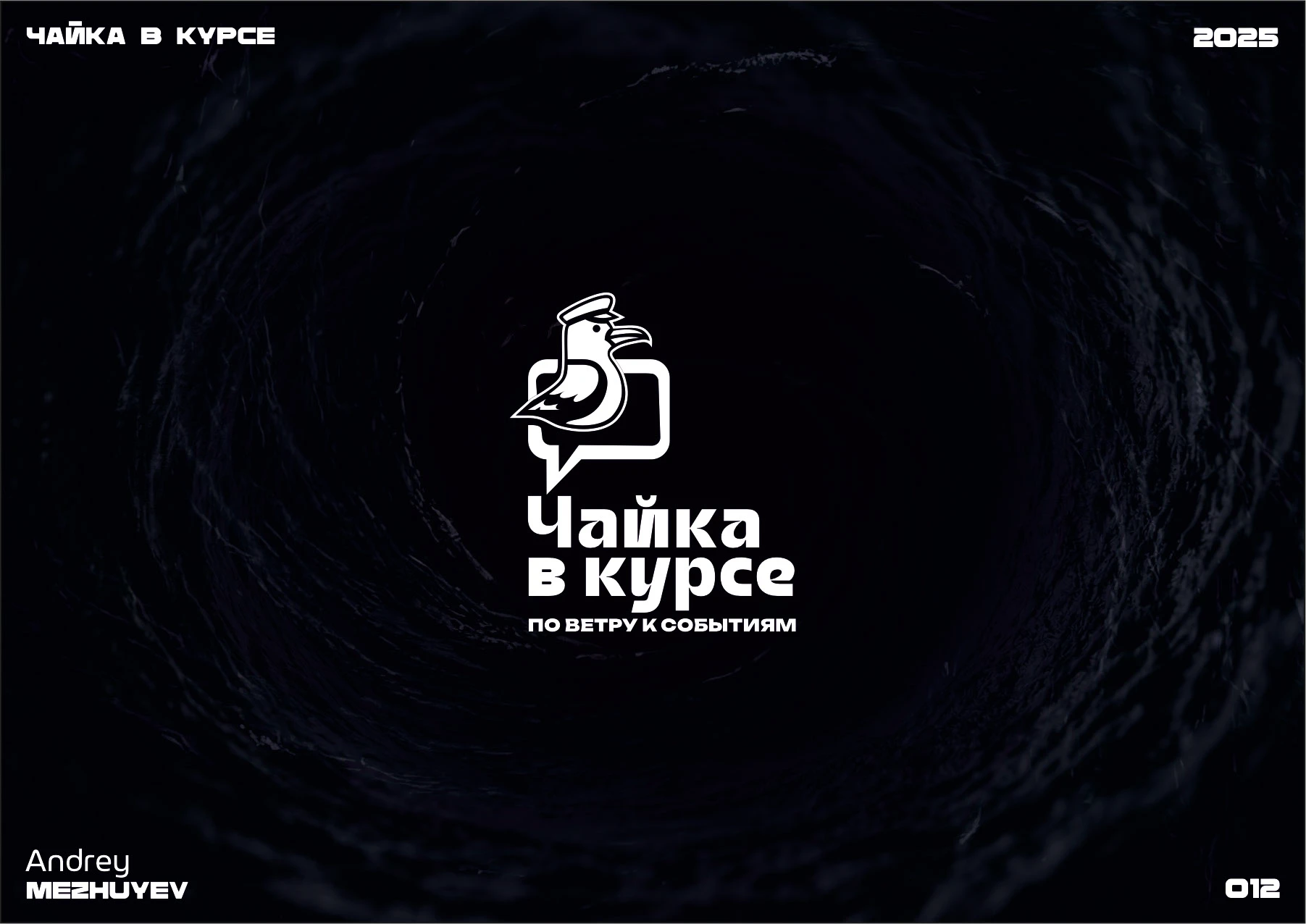 Логофолио 2024-2025 — Изображение №13 — Брендинг на Dprofile