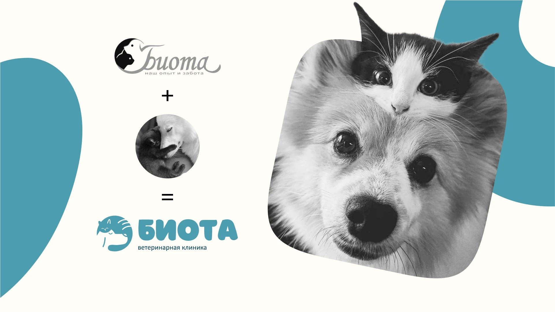 Логотип для ветеринарной клиник «Биота» — Изображение №1 — Брендинг на Dprofile