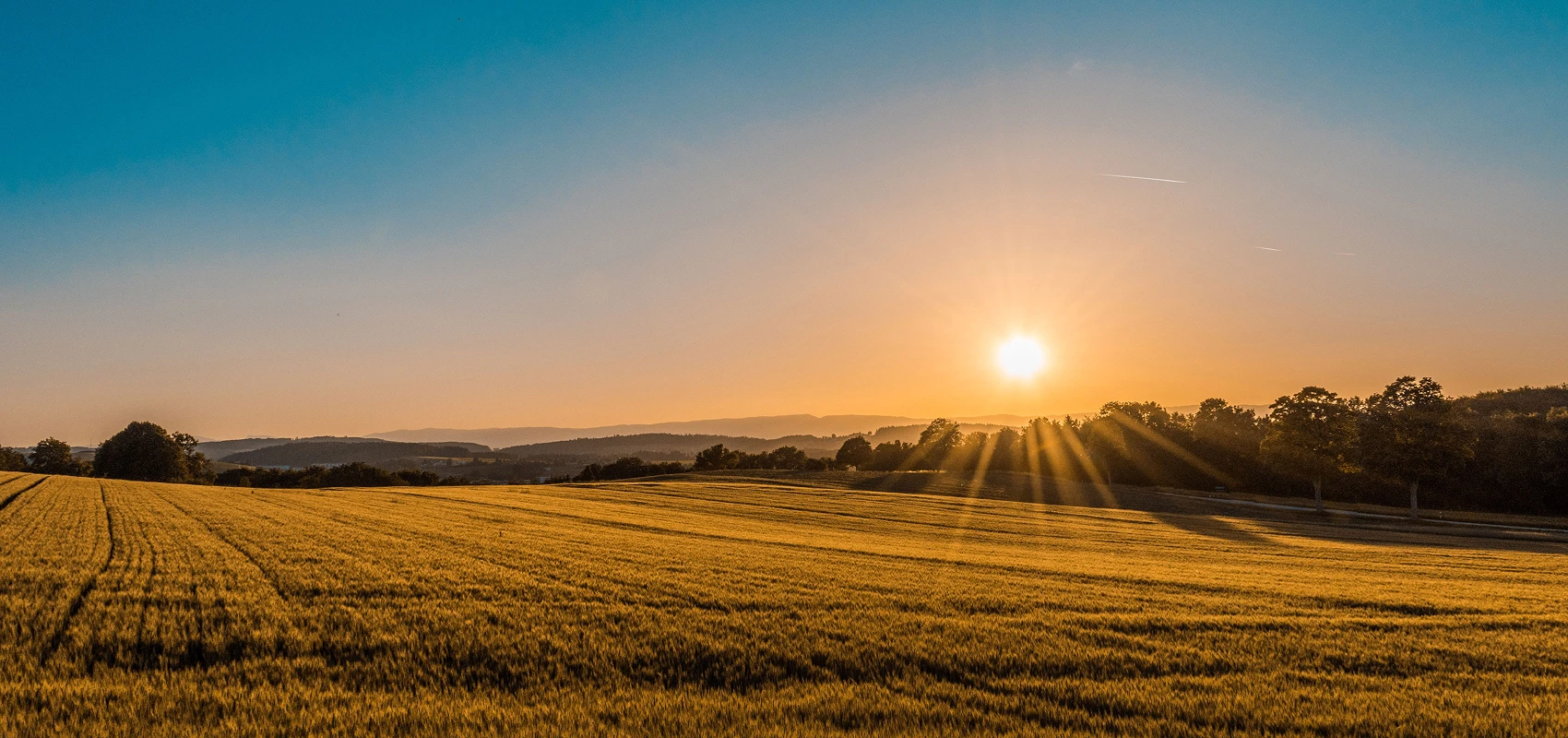 НАШЕНЬКА — Изображение №1 — Брендинг, Маркетинг на Dprofile