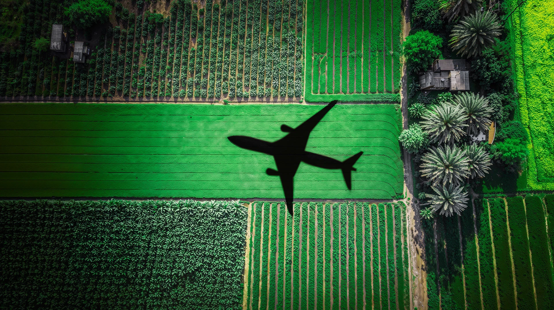 LOGIDOC — Изображение №17 — Брендинг на Dprofile