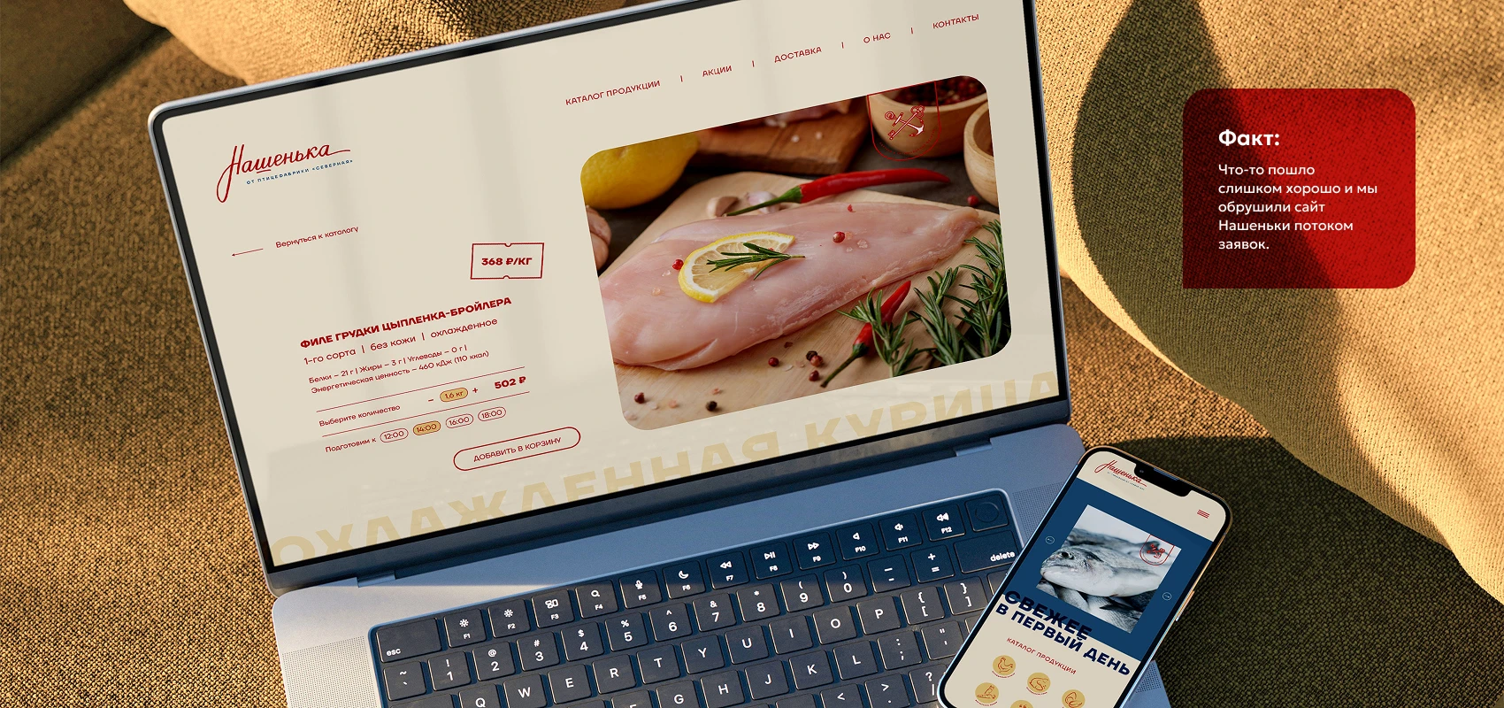 НАШЕНЬКА — Изображение №2 — Брендинг, Маркетинг на Dprofile