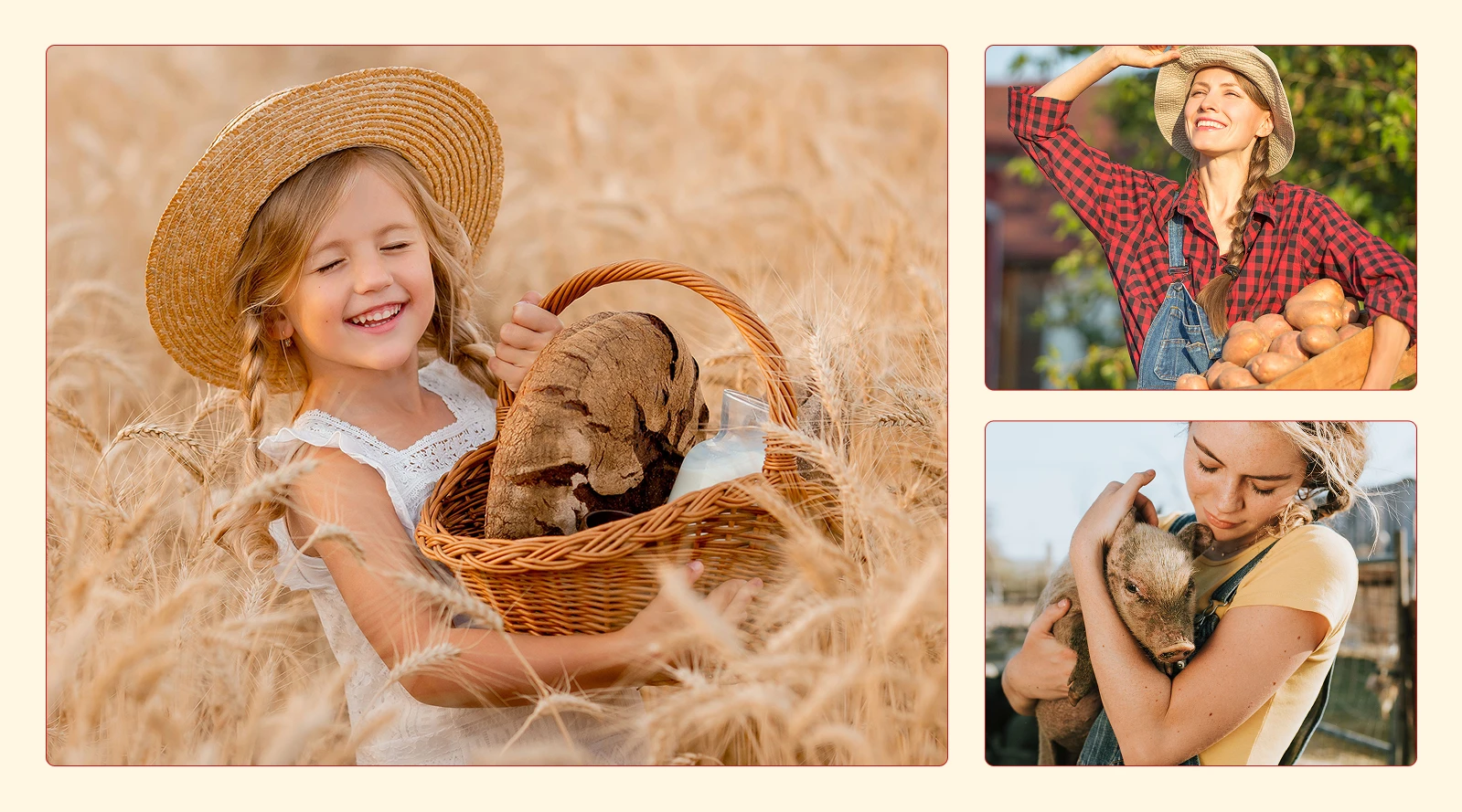 НАШЕНЬКА — Изображение №4 — Брендинг, Маркетинг на Dprofile