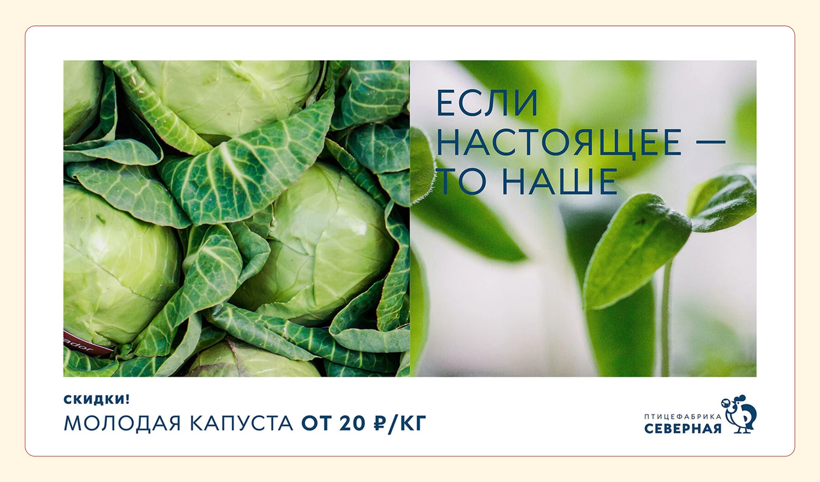 НАШЕНЬКА — Изображение №8 — Брендинг, Маркетинг на Dprofile