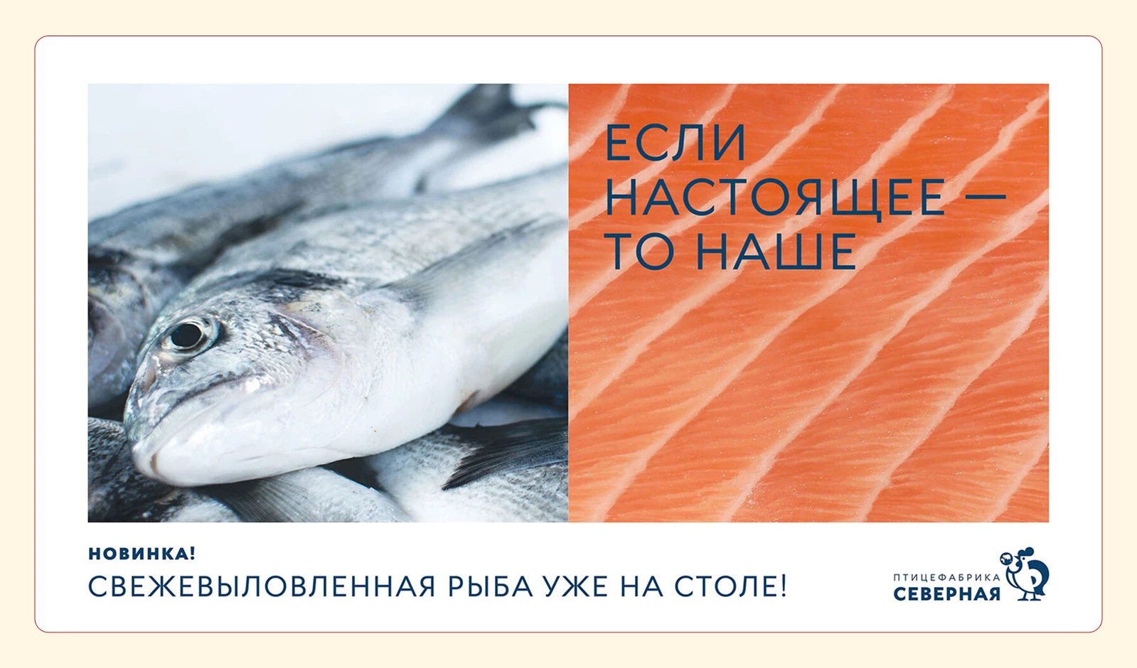 НАШЕНЬКА — Изображение №9 — Брендинг, Маркетинг на Dprofile