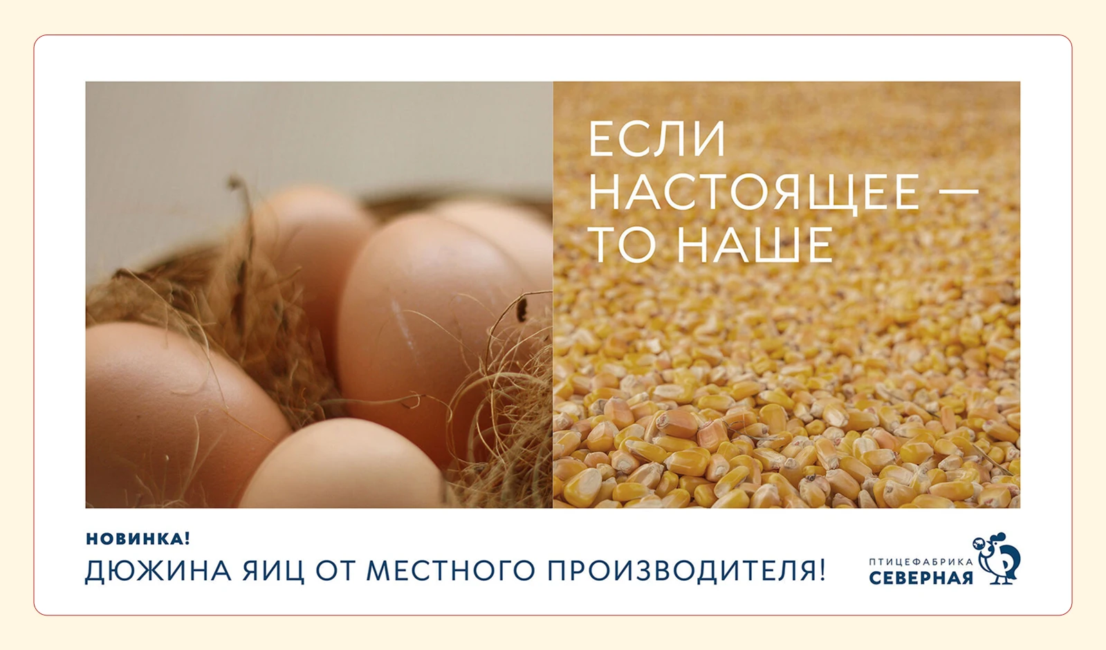 НАШЕНЬКА — Изображение №7 — Брендинг, Маркетинг на Dprofile