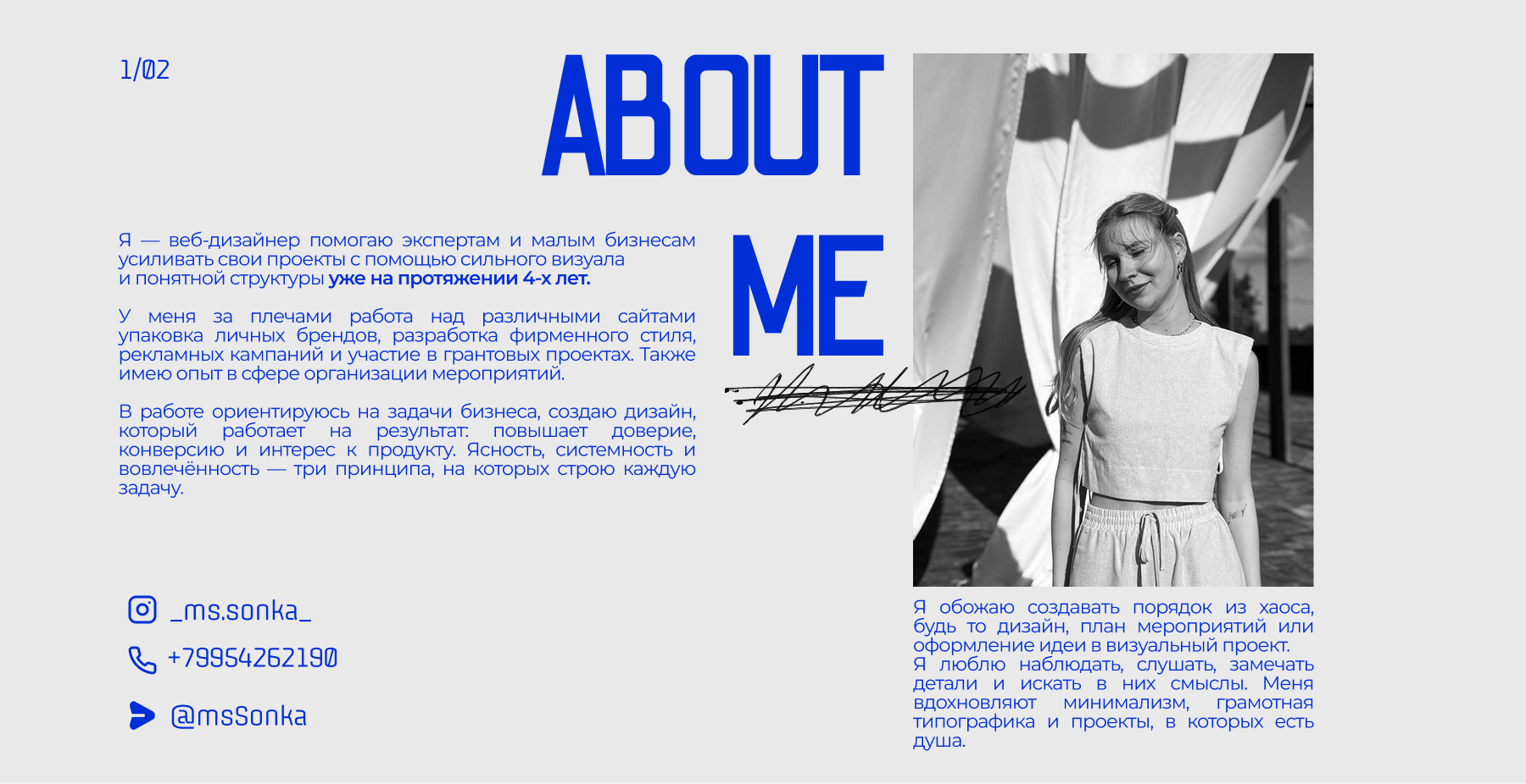 Портфолио веб-дизайнер / Portfolio web-designer — Изображение №2 — Интерфейсы на Dprofile