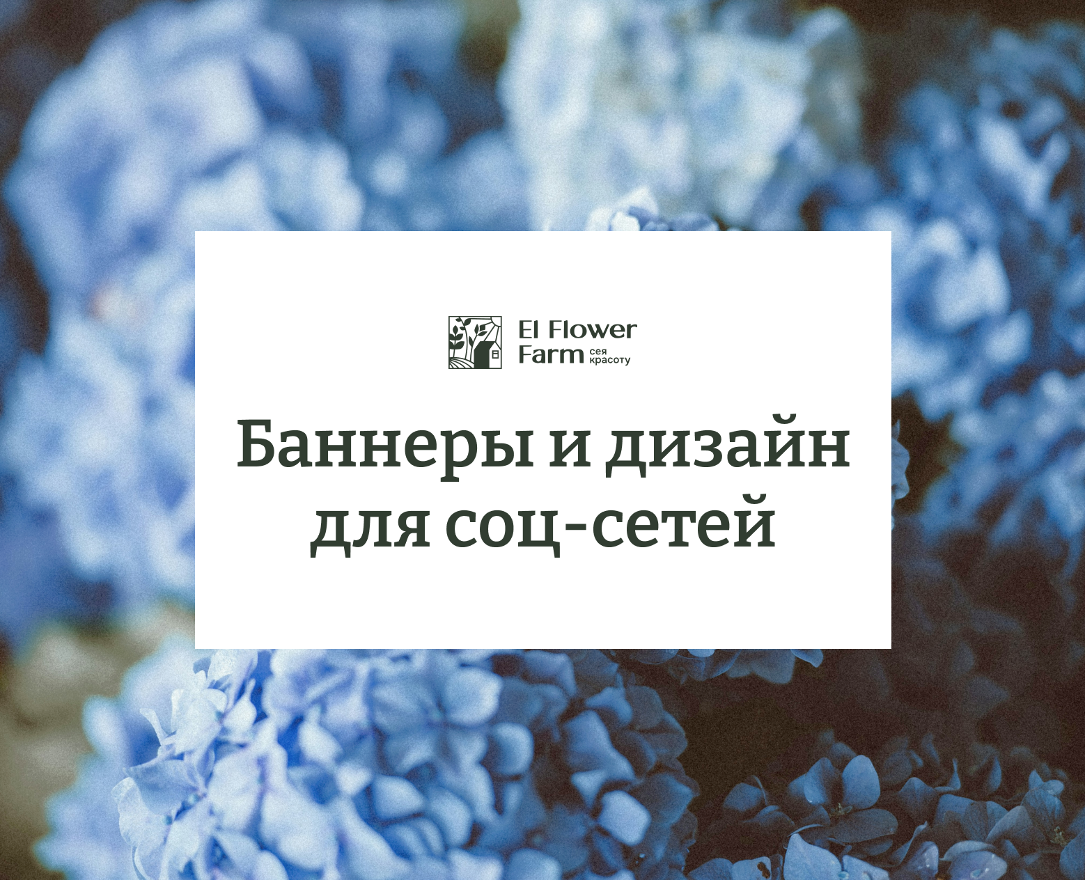 Баннеры и дизайн для соц-сетей на Dprofile