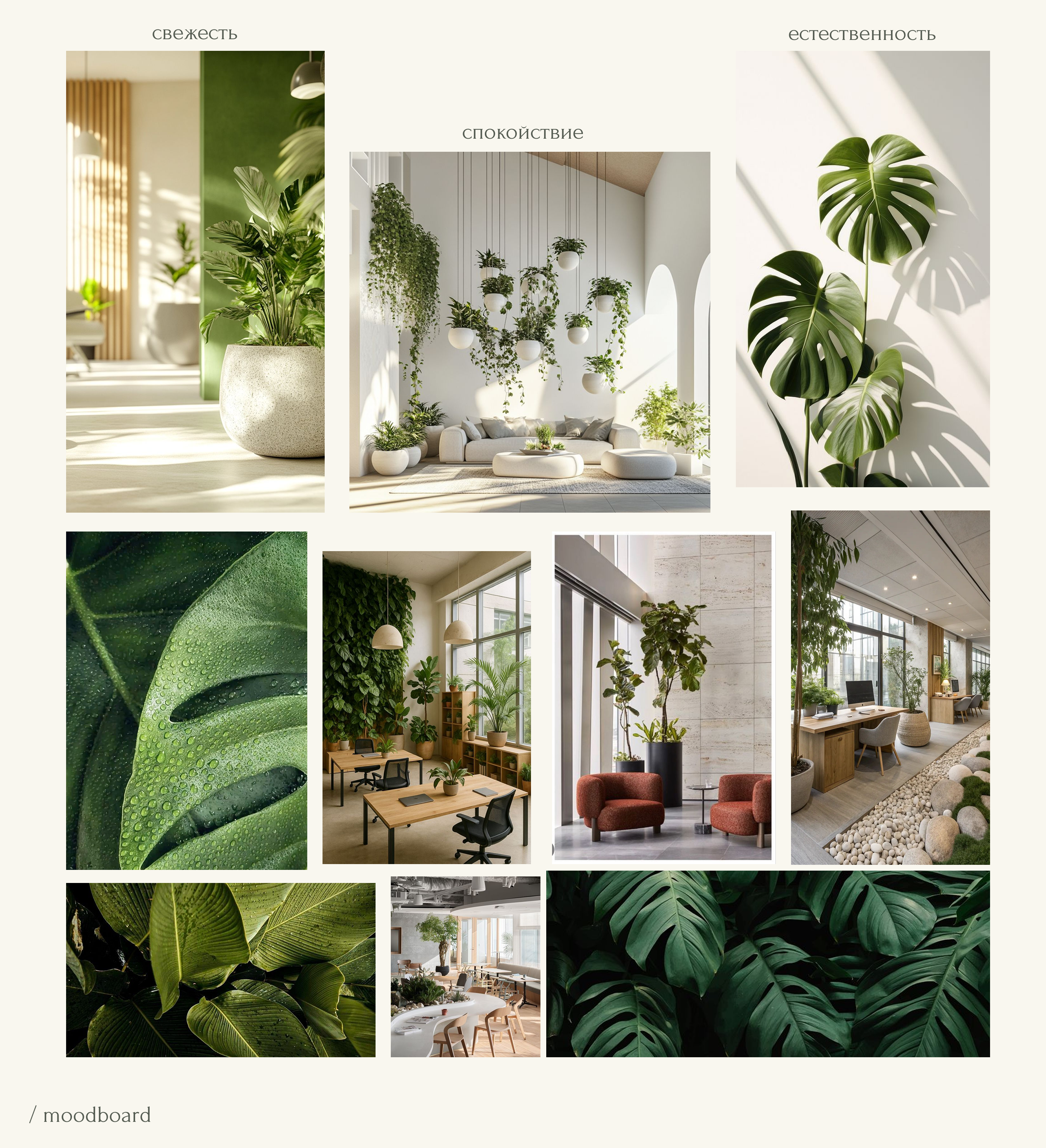 Озеленение офисов: Landing page AuraPlants | UX/UI Design — Изображение №5 — Интерфейсы на Dprofile