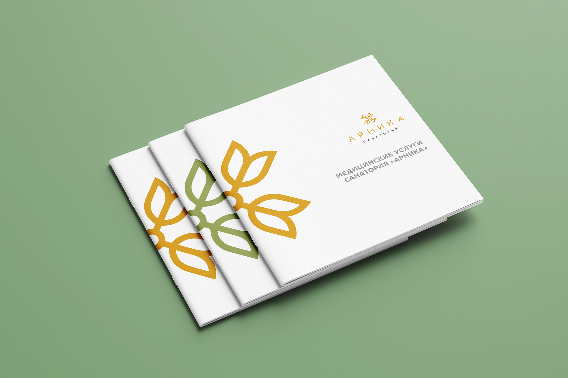 Каталоги медицинских и SPA-услуг санатория Арника — Изображение №1 — Графика на Dprofile