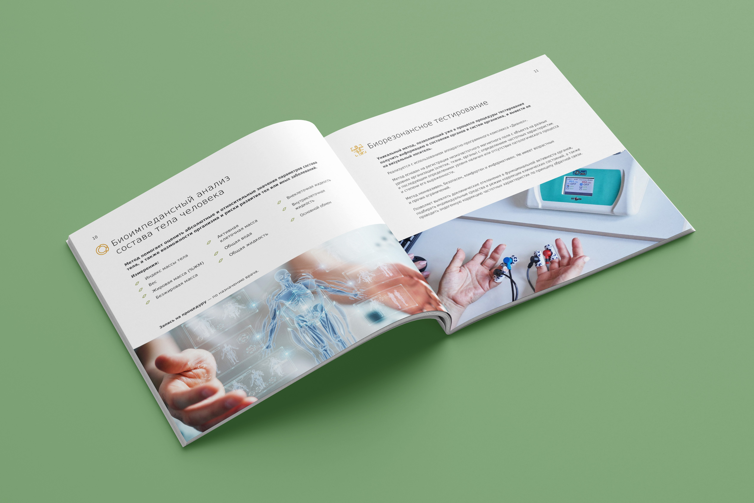 Каталоги медицинских и SPA-услуг санатория Арника — Изображение №5 — Графика на Dprofile