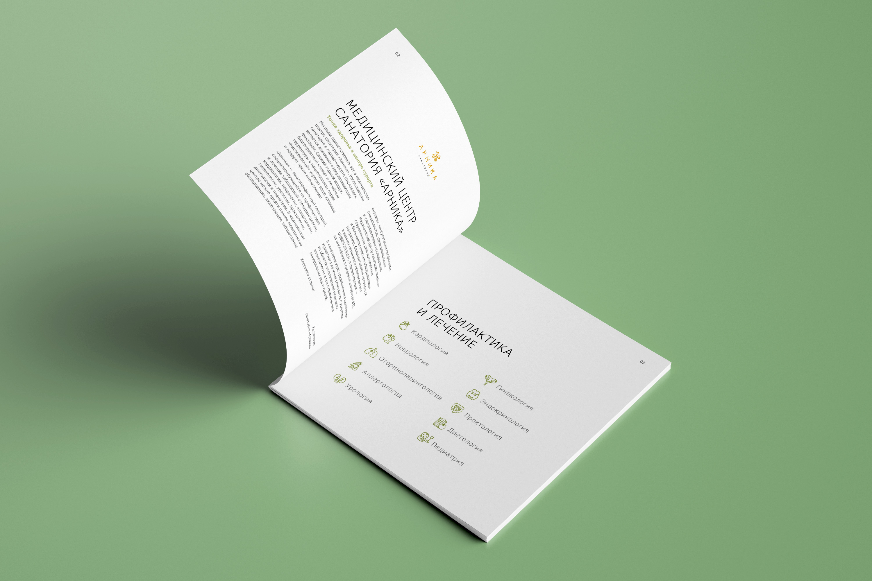 Каталоги медицинских и SPA-услуг санатория Арника — Изображение №3 — Графика на Dprofile