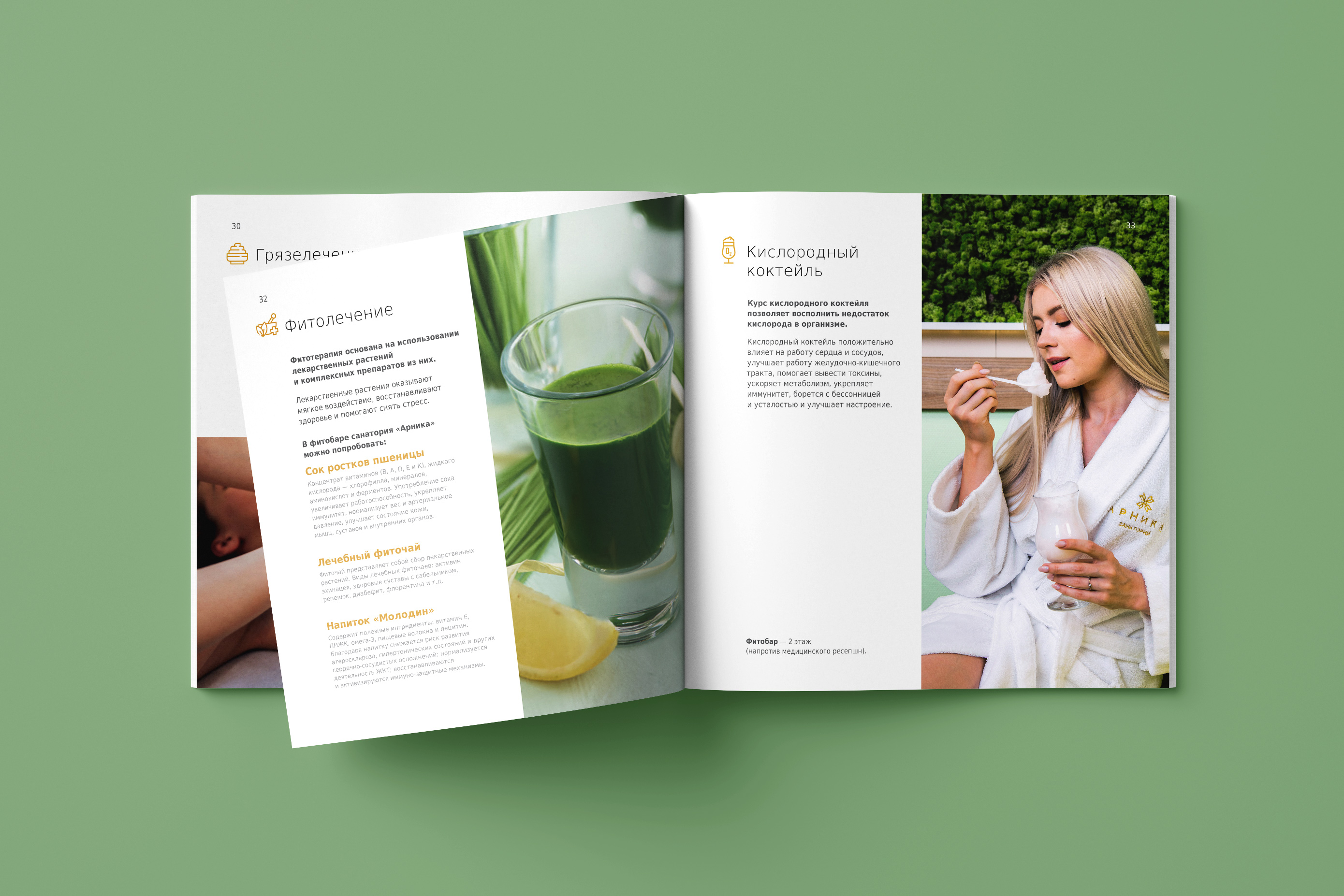 Каталоги медицинских и SPA-услуг санатория Арника — Изображение №6 — Графика на Dprofile