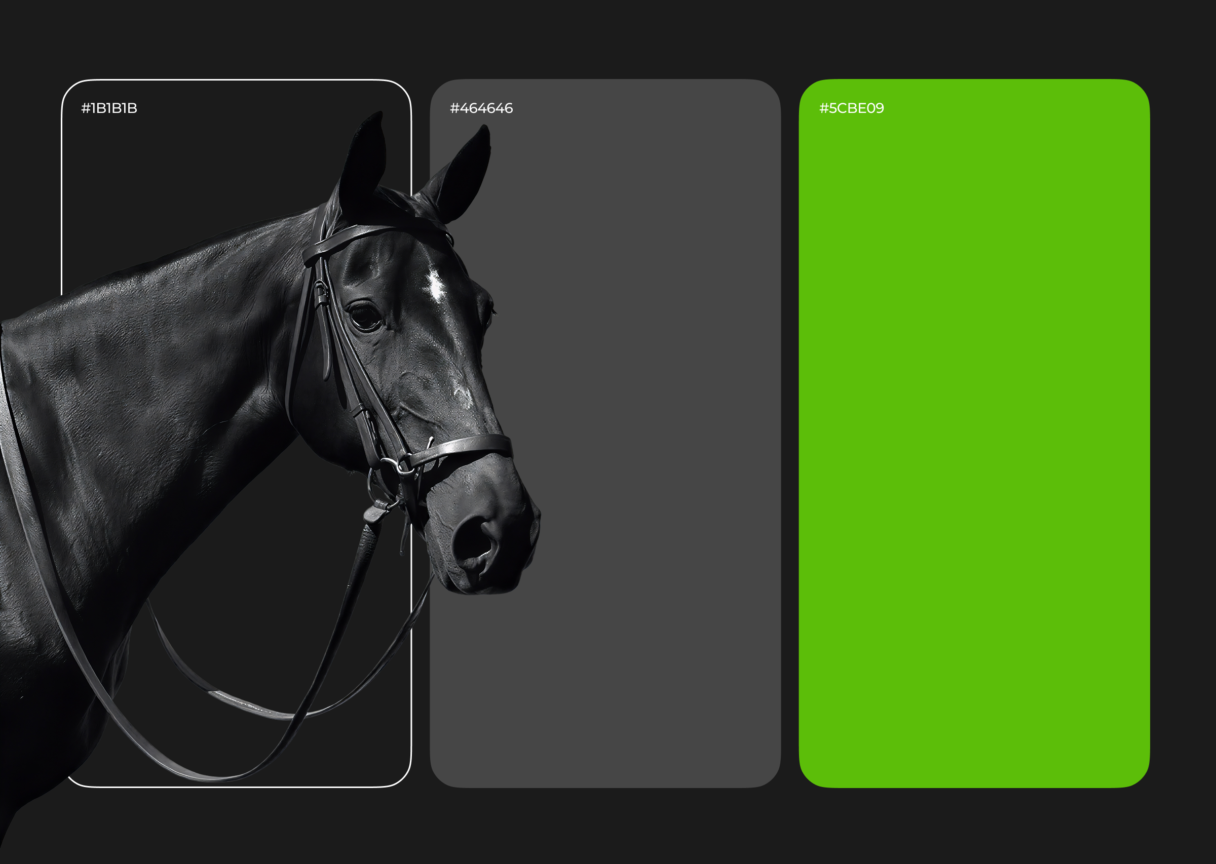 Pick6 Horse - TG mini app — Изображение №3 — Интерфейсы на Dprofile