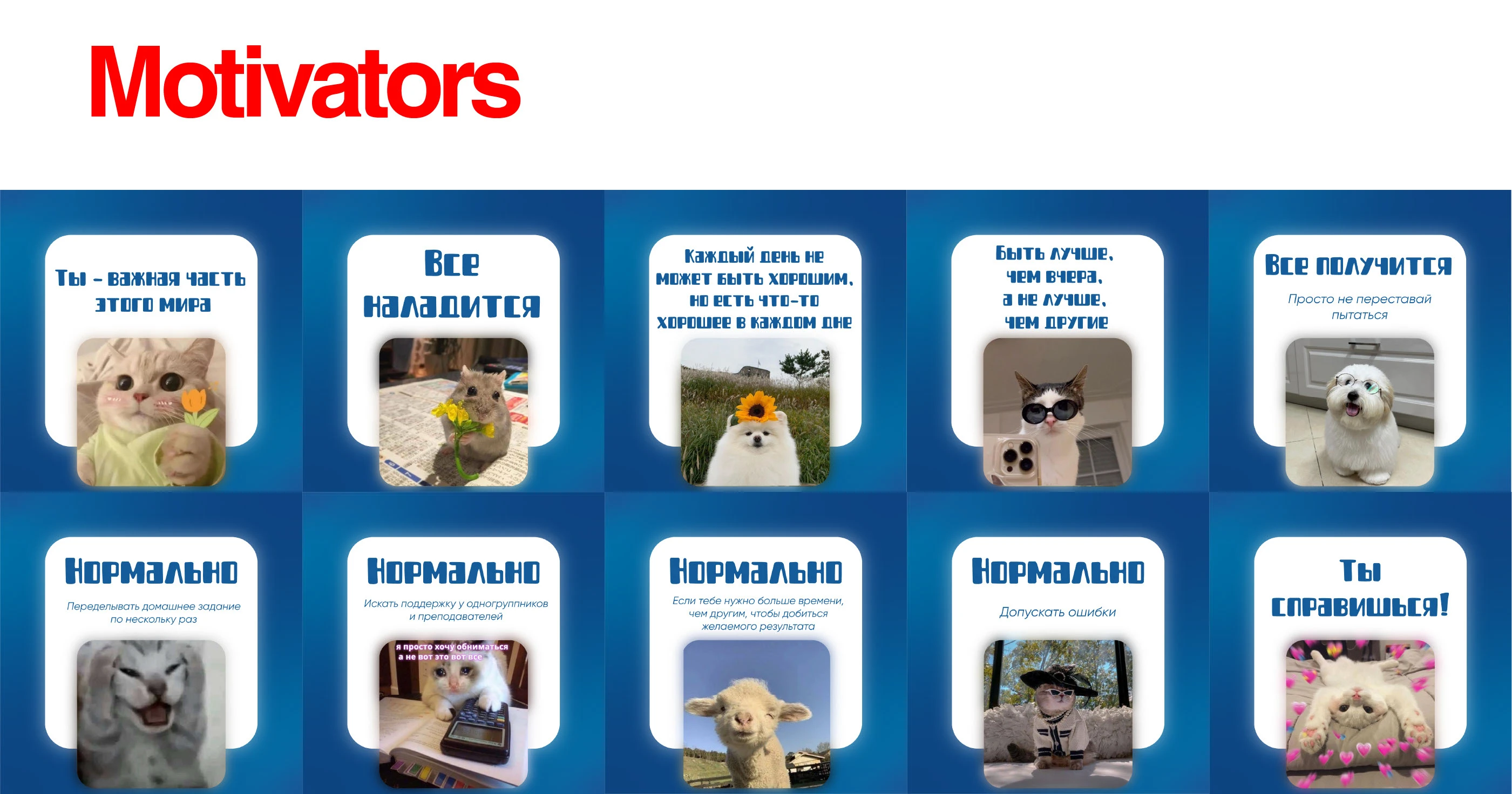 Веб-дизайн и визуальное оформление для платформы колледжа — Изображение №8 — Брендинг, Графика на Dprofile