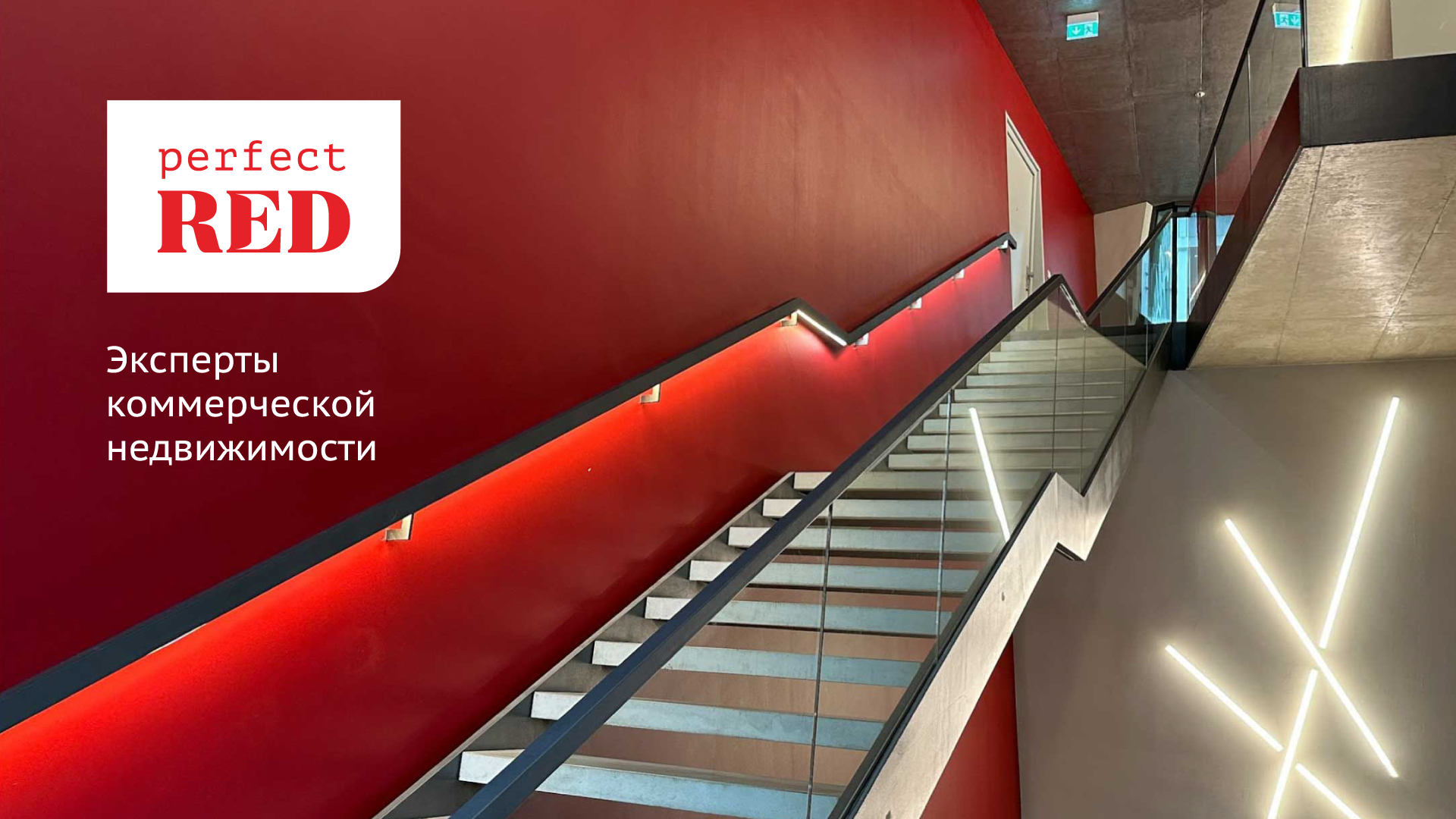 Разработка бренда Perfect RED — Изображение №1 — Брендинг на Dprofile