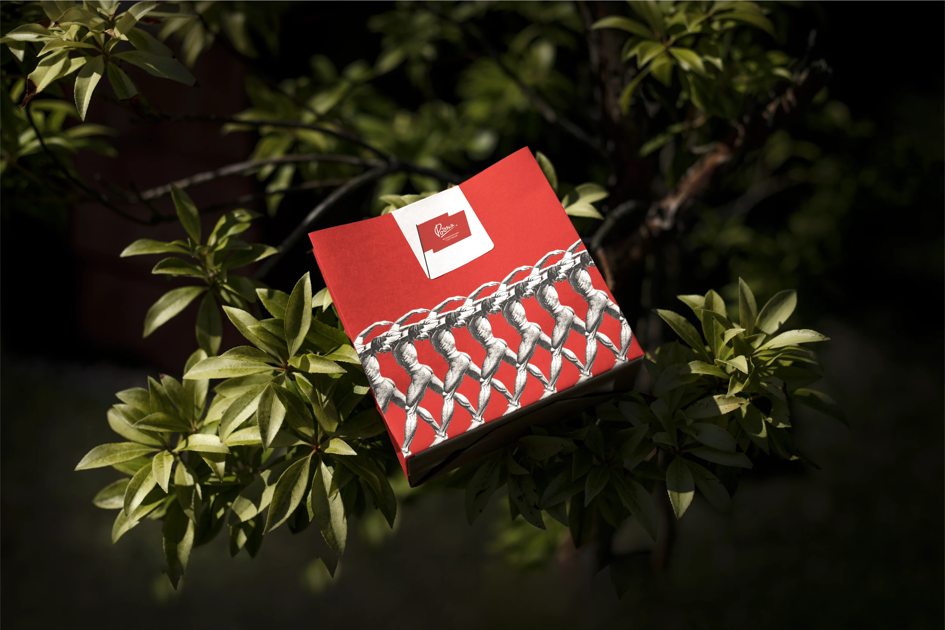 Родня / Фирменный стиль — Изображение №5 — Брендинг на Dprofile