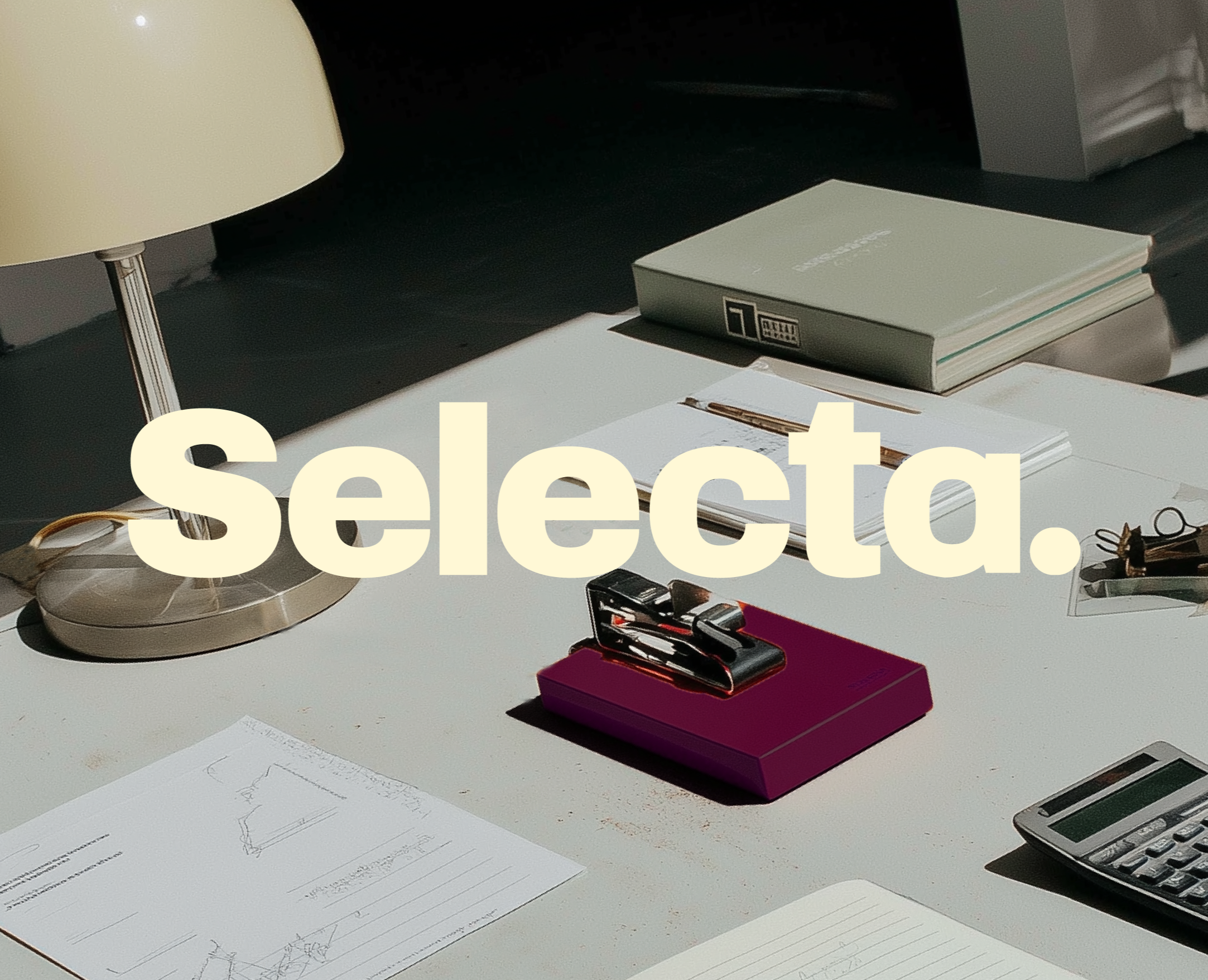 Selecta / Identity restyling на Dprofile