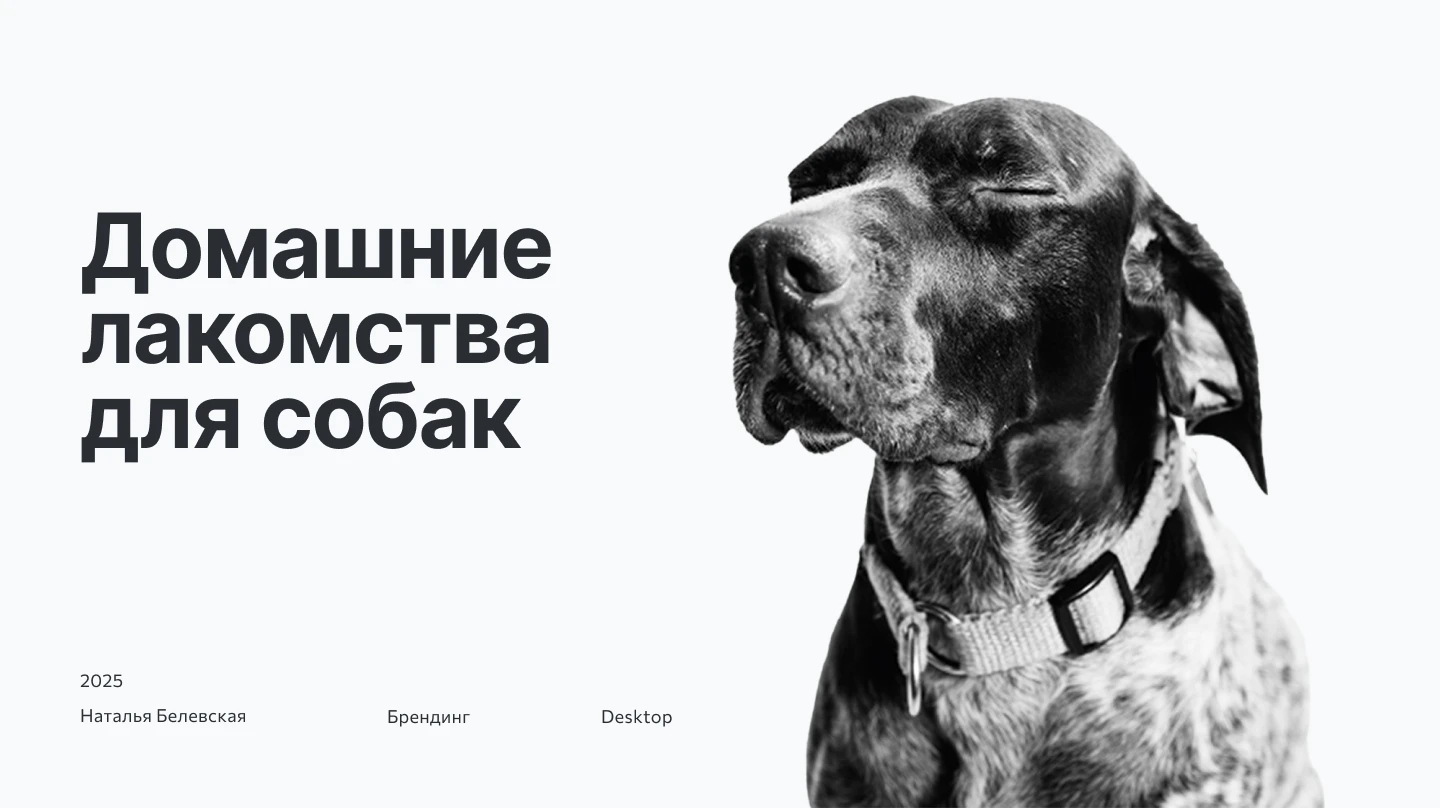 Брендинг для компании Army Yummy — Изображение №1 — Брендинг на Dprofile