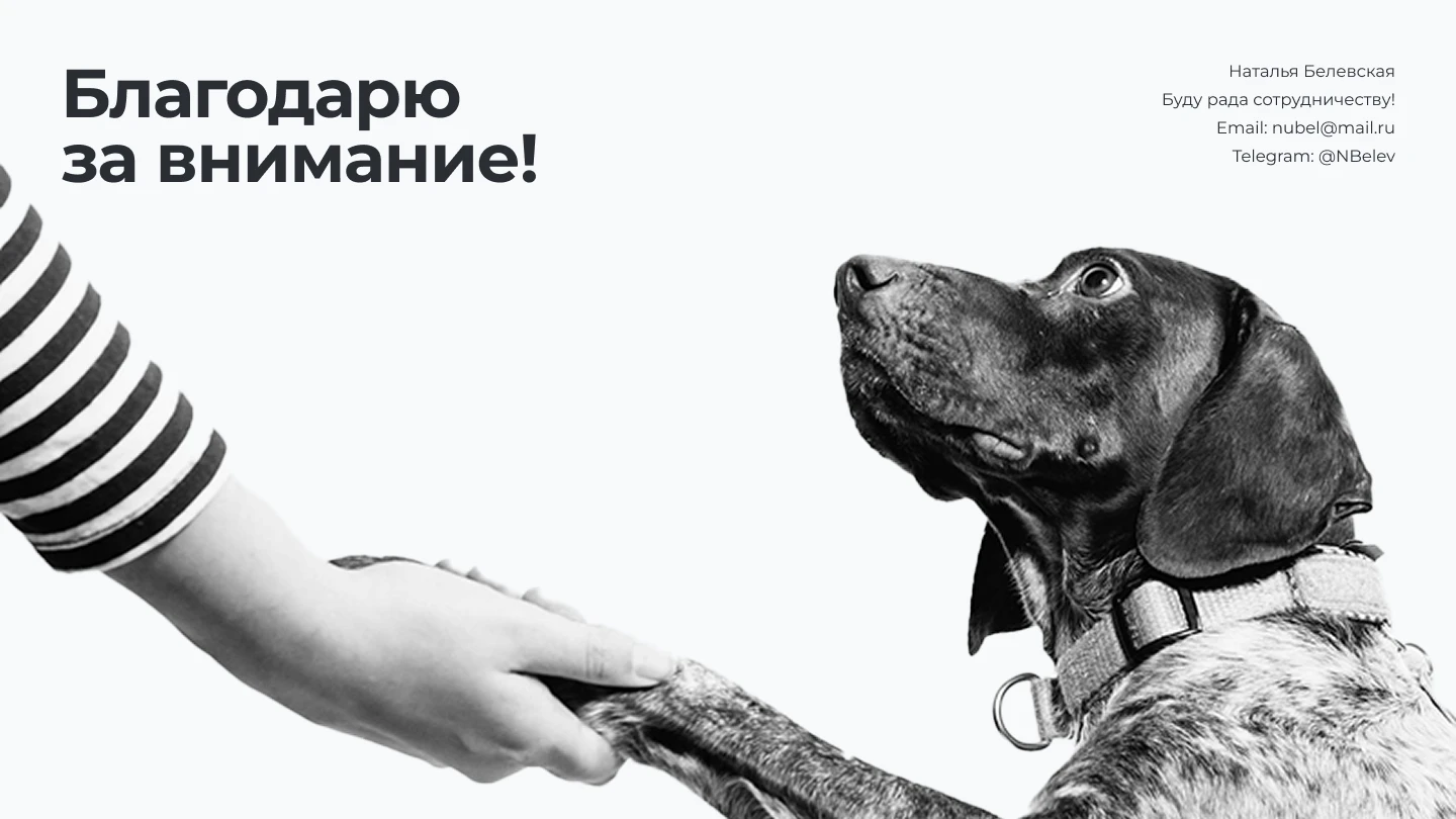 Брендинг для компании Army Yummy — Изображение №8 — Брендинг на Dprofile