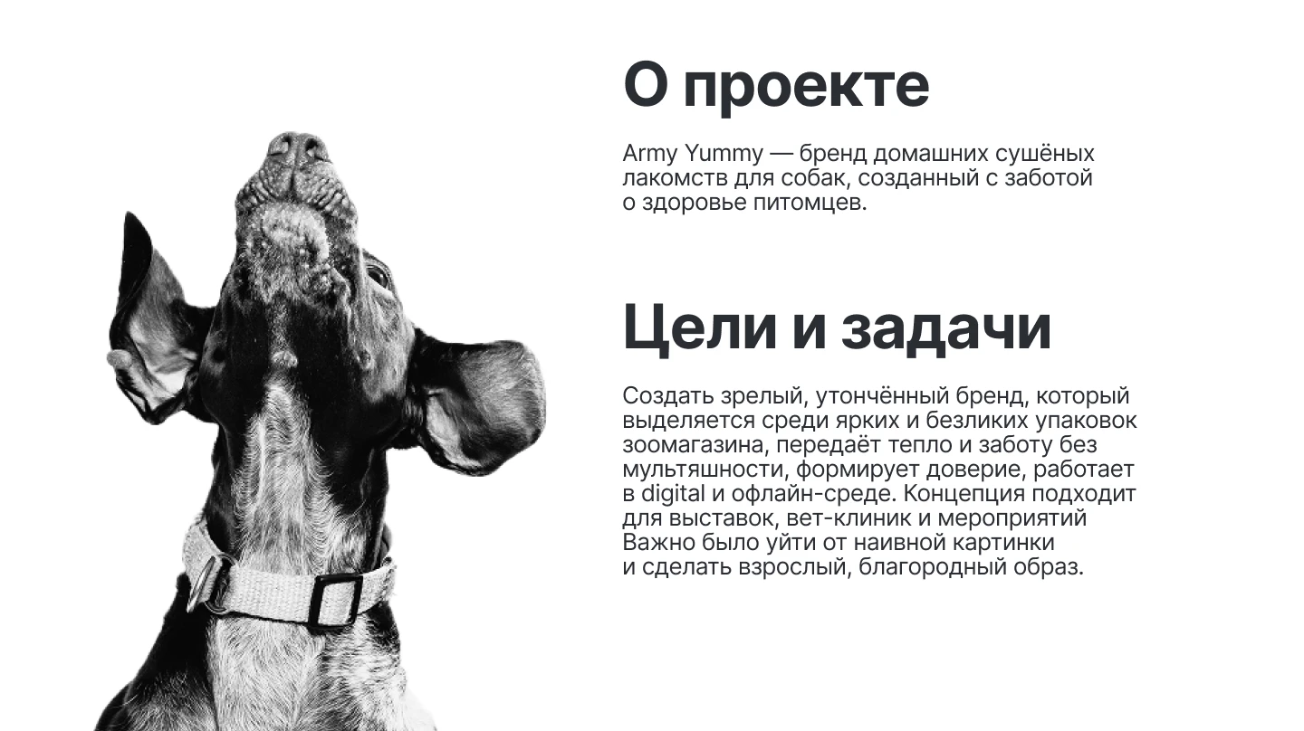 Брендинг для компании Army Yummy — Изображение №2 — Брендинг на Dprofile