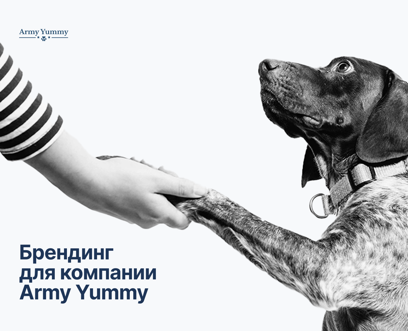 Брендинг для компании Army Yummy — Брендинг на Dprofile