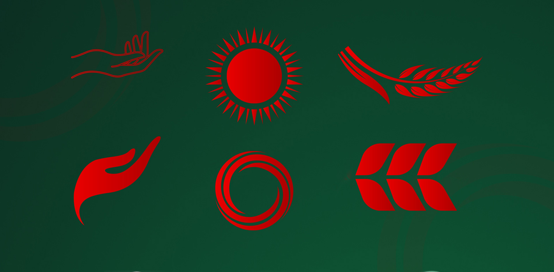 Dunki - это таджикская цифровая платформа — Изображение №2 — Брендинг на Dprofile