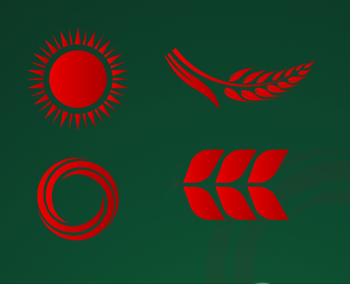 Dunki - это таджикская цифровая платформа на Dprofile