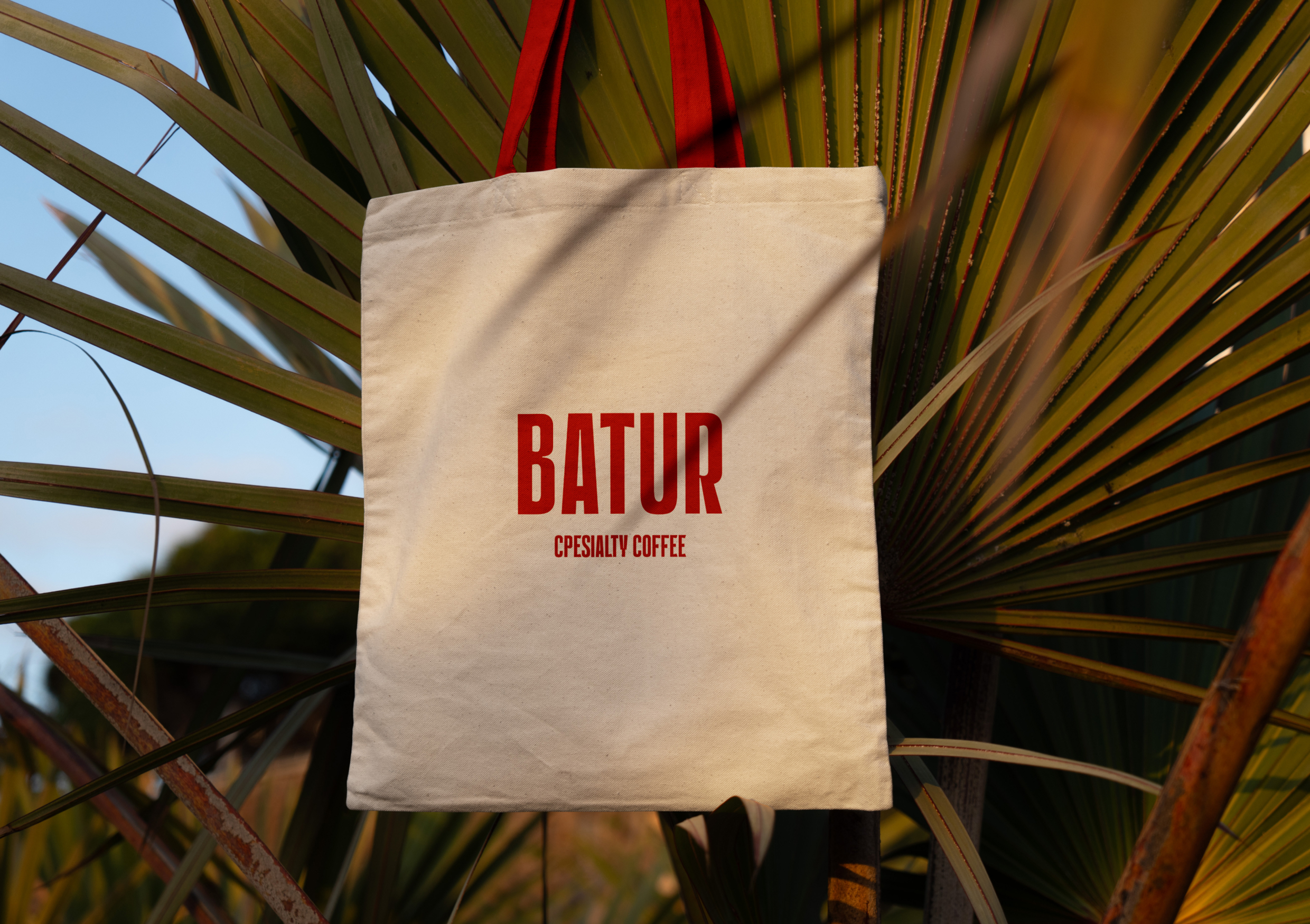 Batur — бренд кофе — Изображение №9 — Брендинг на Dprofile
