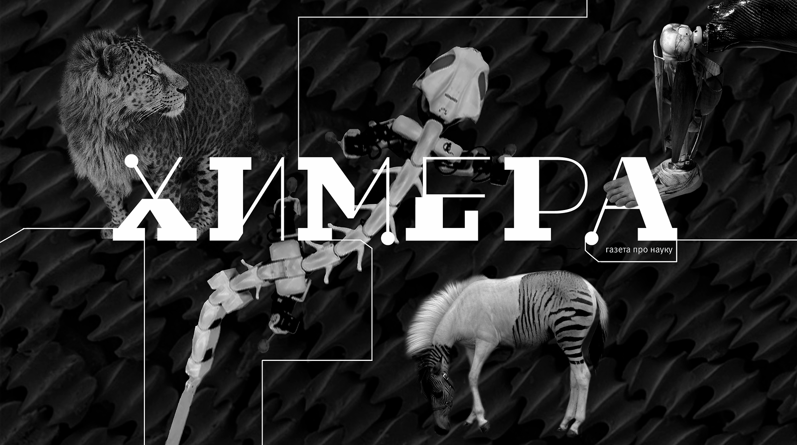 ХИМЕРА | Газета про науку — Изображение №1 — Графика на Dprofile