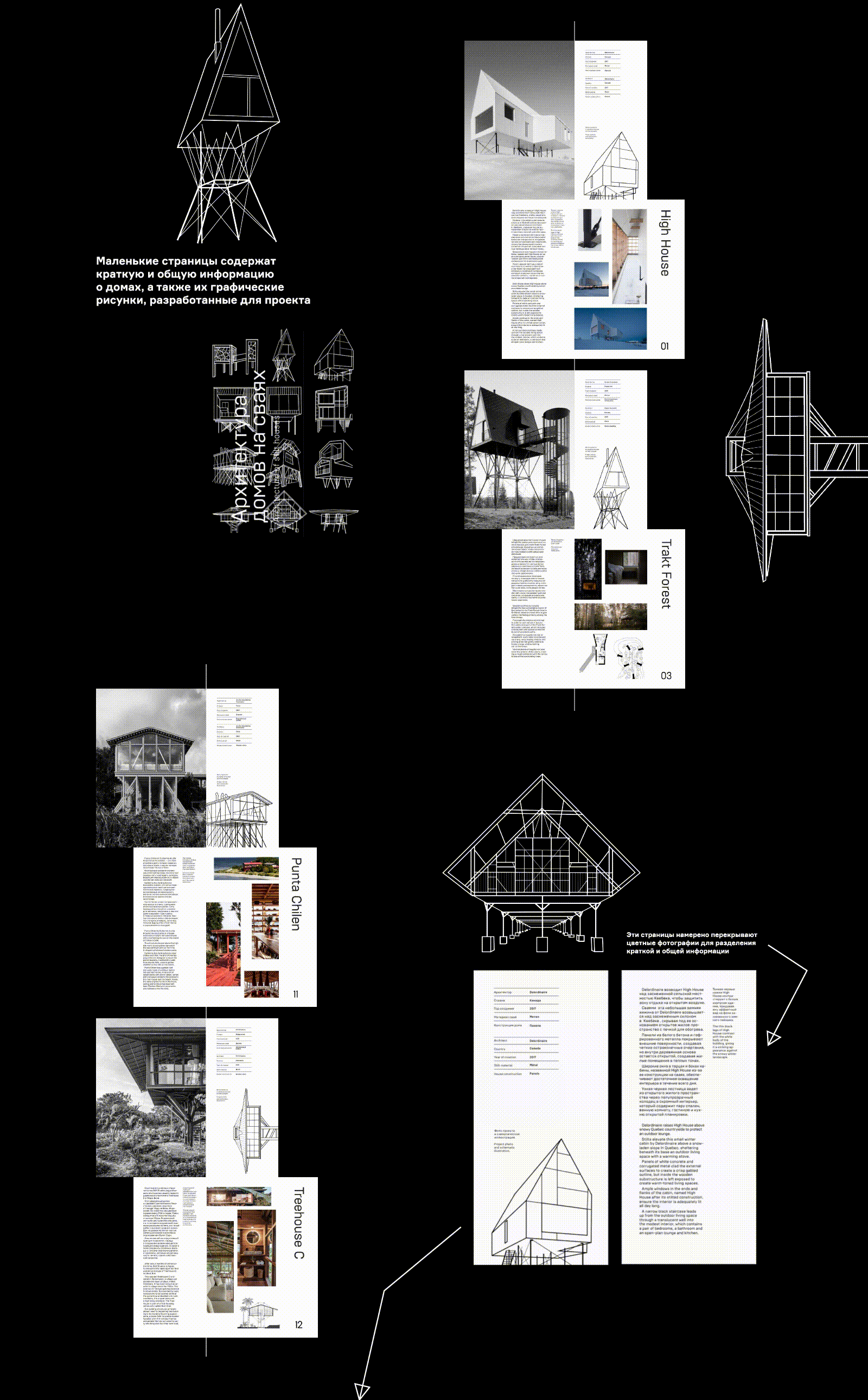 Архитектура домов на сваях | ЗИН — Изображение №3 — Иллюстрация, Графика на Dprofile