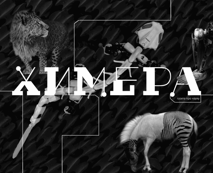 ХИМЕРА | Газета про науку на Dprofile