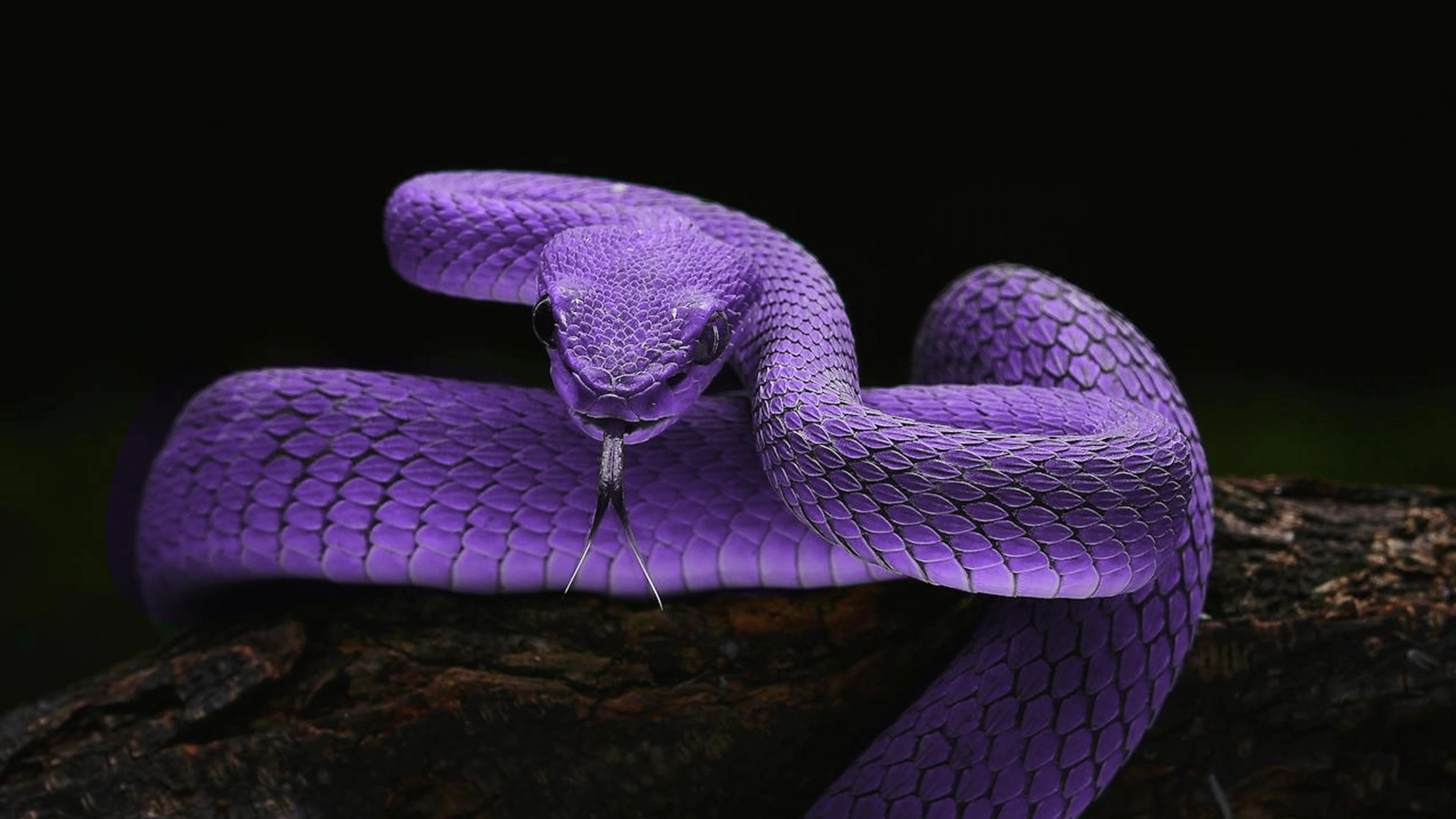 Логотип Матрица судьбы — Изображение №6 — Брендинг, Графика на Dprofile