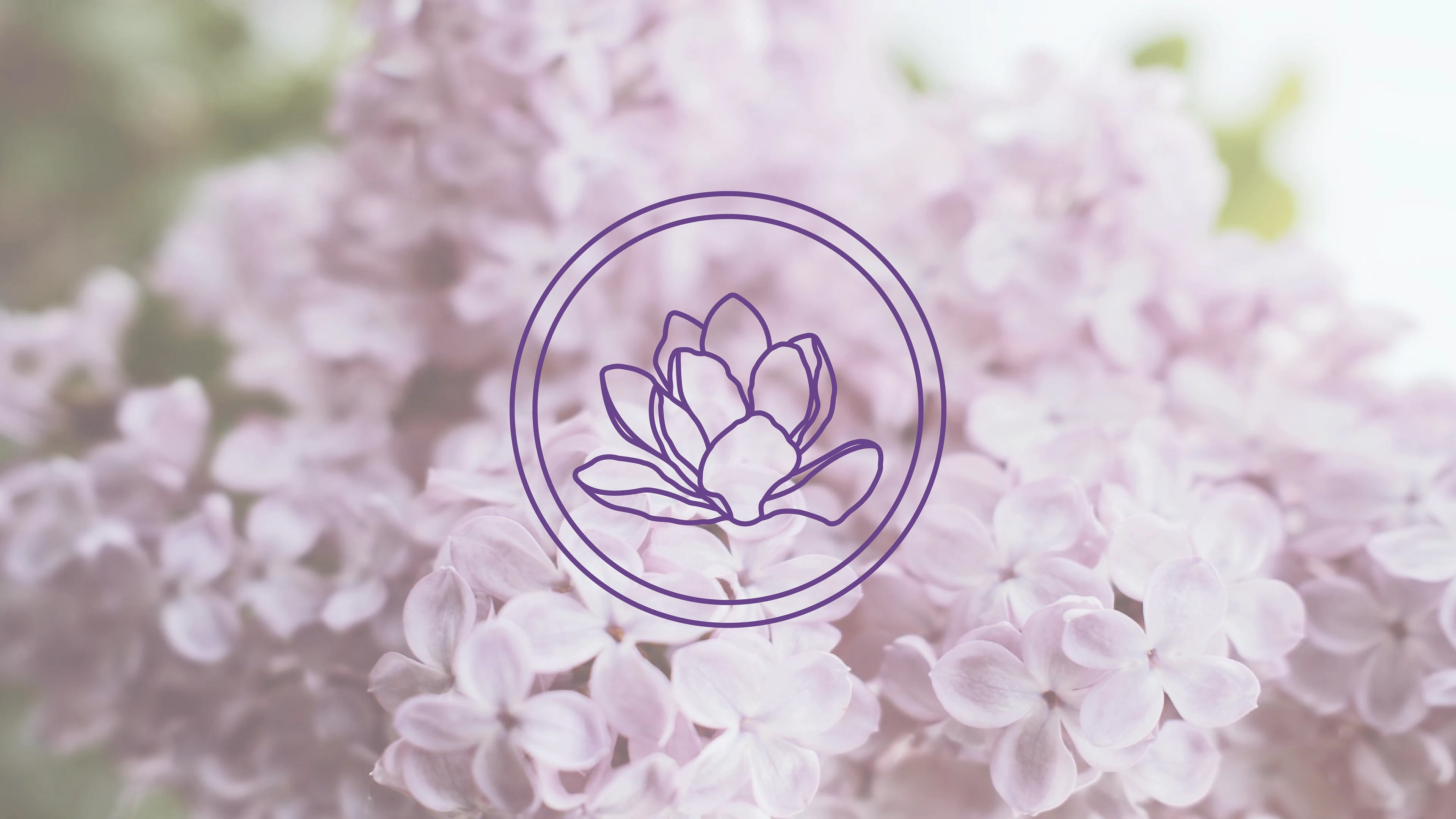 Floraison — Изображение №6 — Брендинг на Dprofile