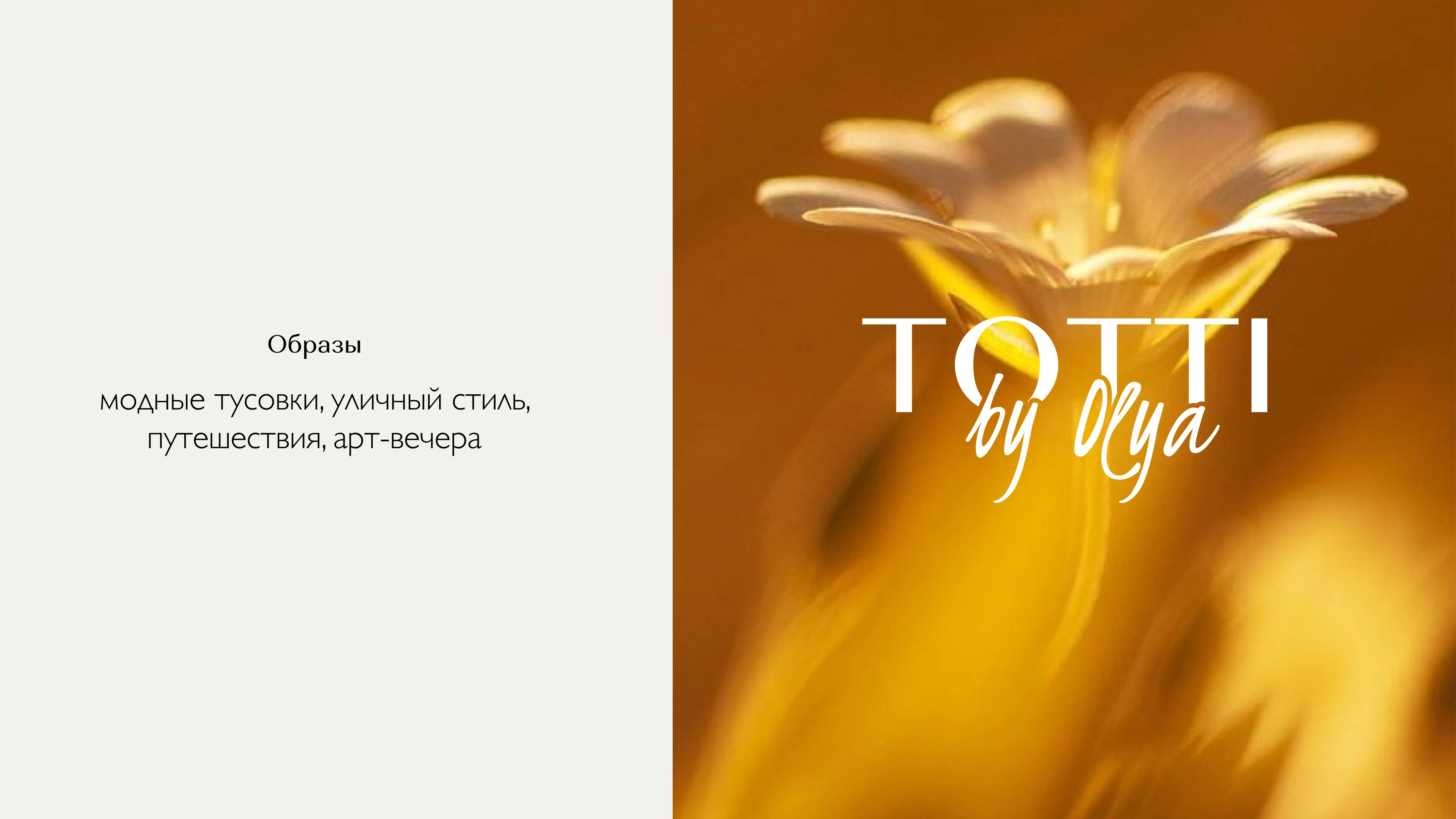 TOTTI | Brand Identity — Изображение №13 — Брендинг, Анимация на Dprofile