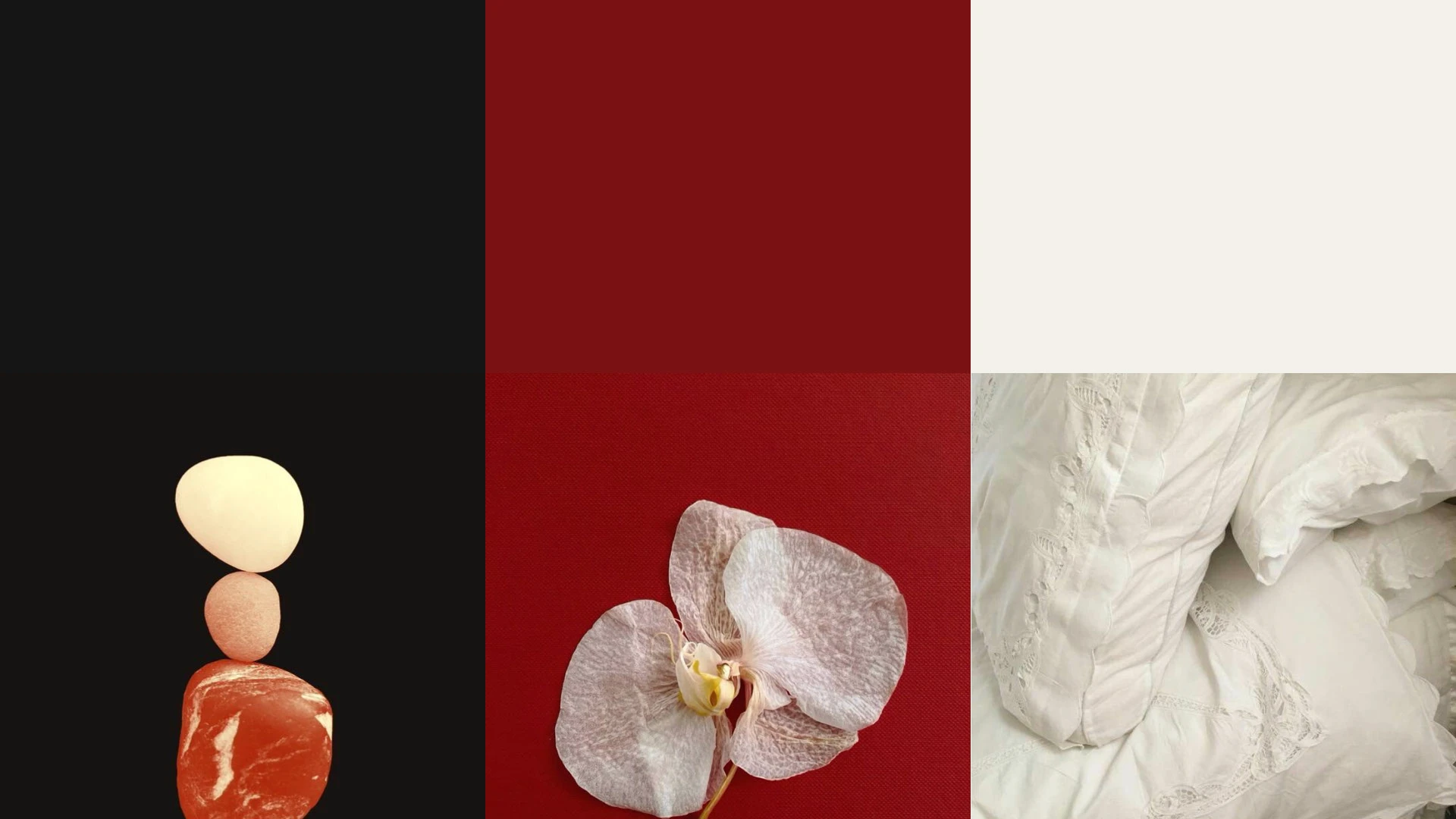 TOTTI | Brand Identity — Изображение №9 — Брендинг, Анимация на Dprofile