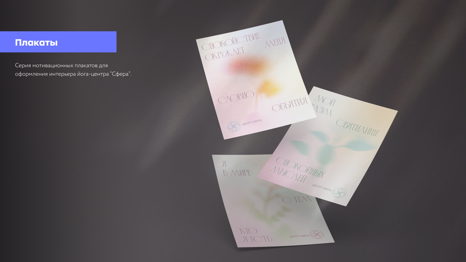 ПОРТФОЛИО (графический/веб-дизайн) — Изображение №11 — Брендинг, Графика на Dprofile