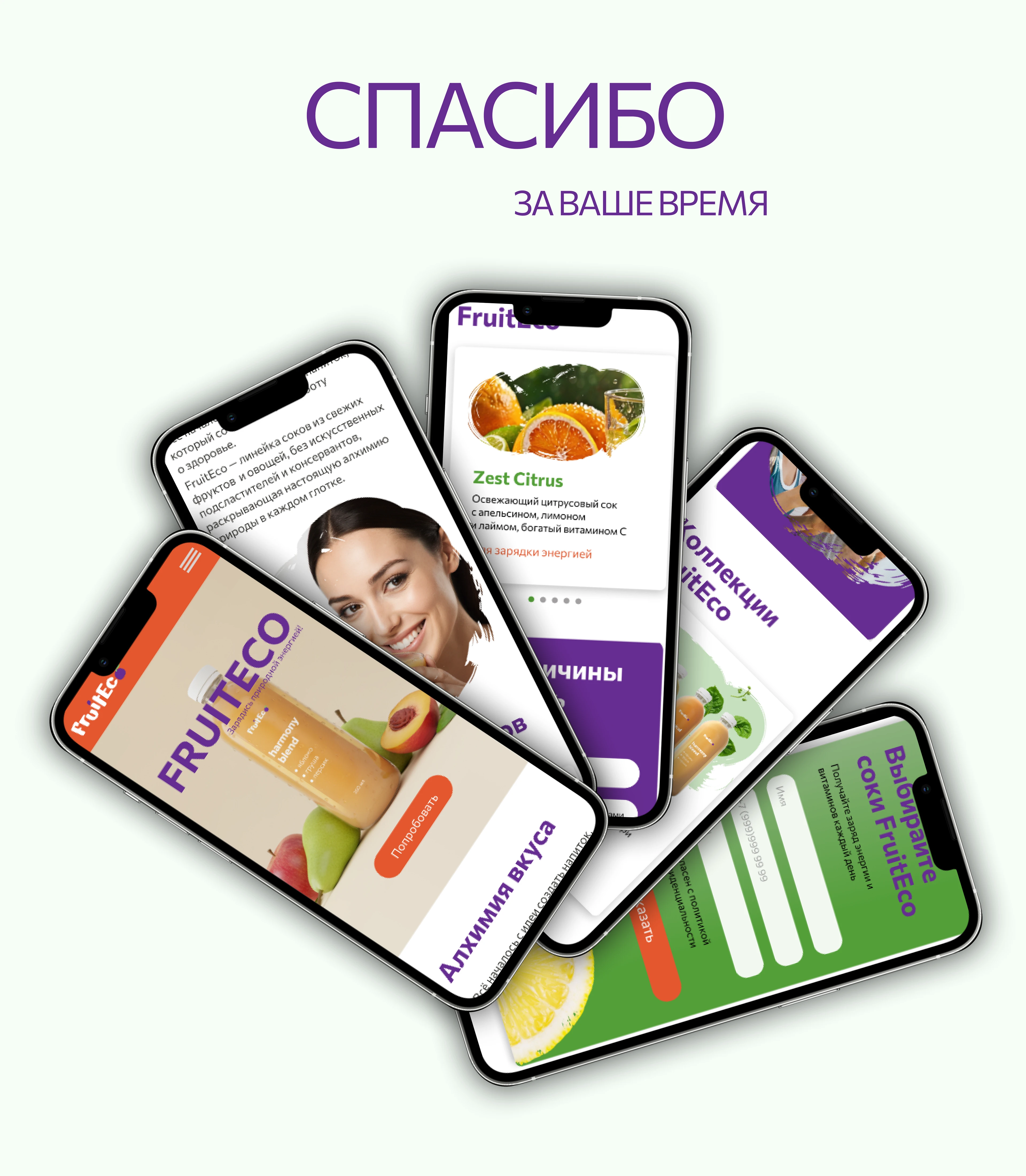 Лендинг для бренда FruitEco — Изображение №8 — Интерфейсы, Маркетинг на Dprofile