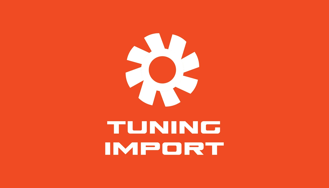 Фирменный стиль Tuning Import — Изображение №3 — Брендинг на Dprofile