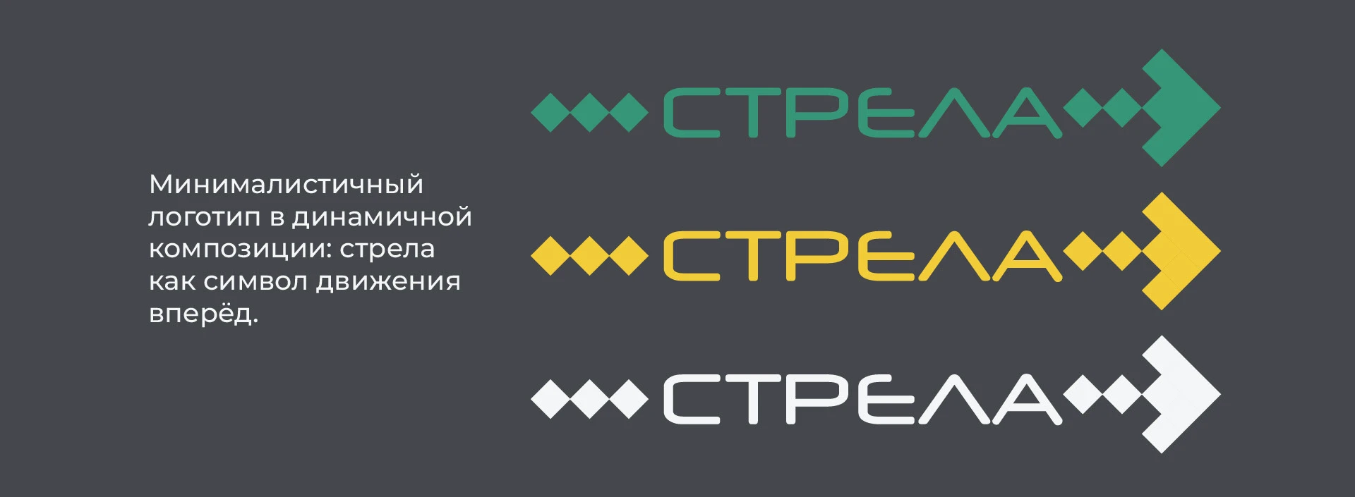 Digital-конференция "СТРЕЛА" — Изображение №4 — Интерфейсы, Брендинг на Dprofile
