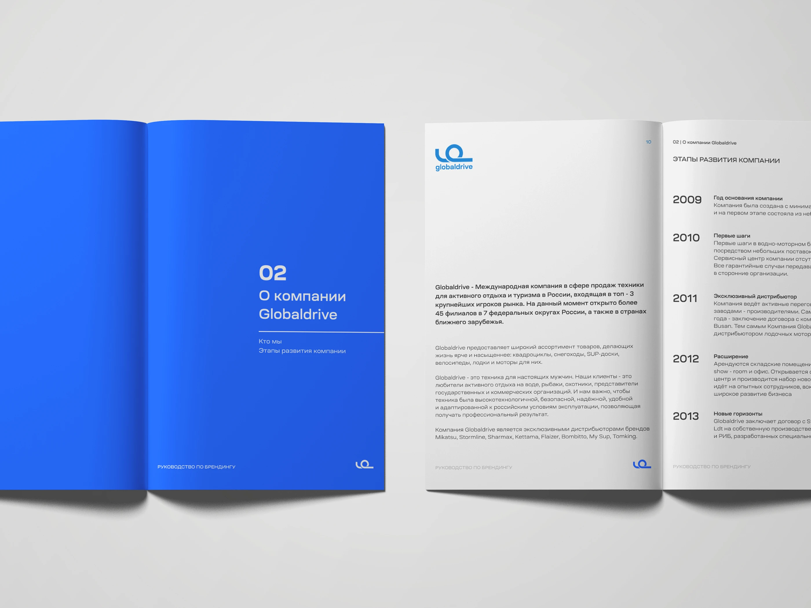 Brand Manual | Brandbook | Брендбук — Изображение №8 — Брендинг на Dprofile